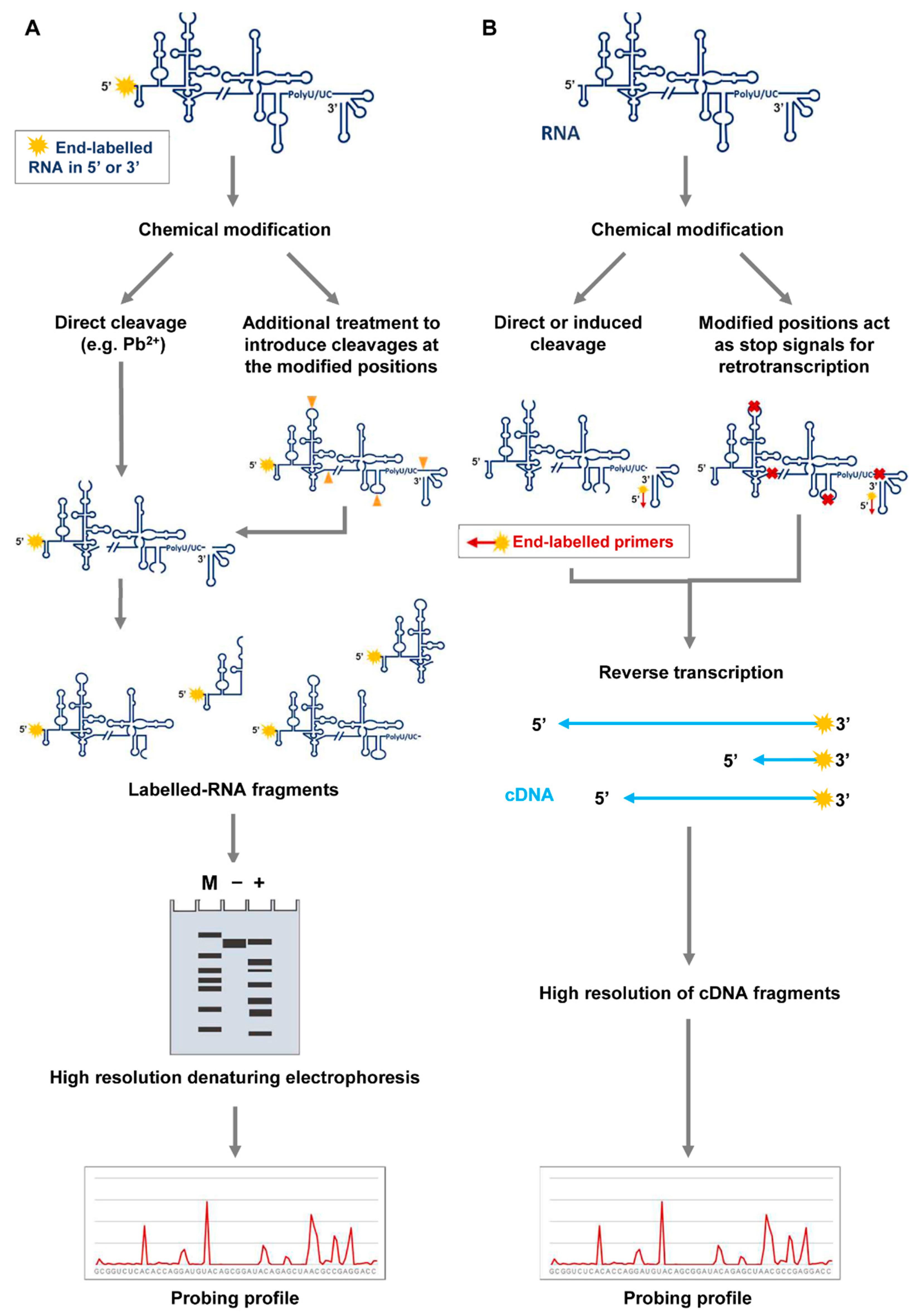 Pharmaceuticals 14 01192 g003