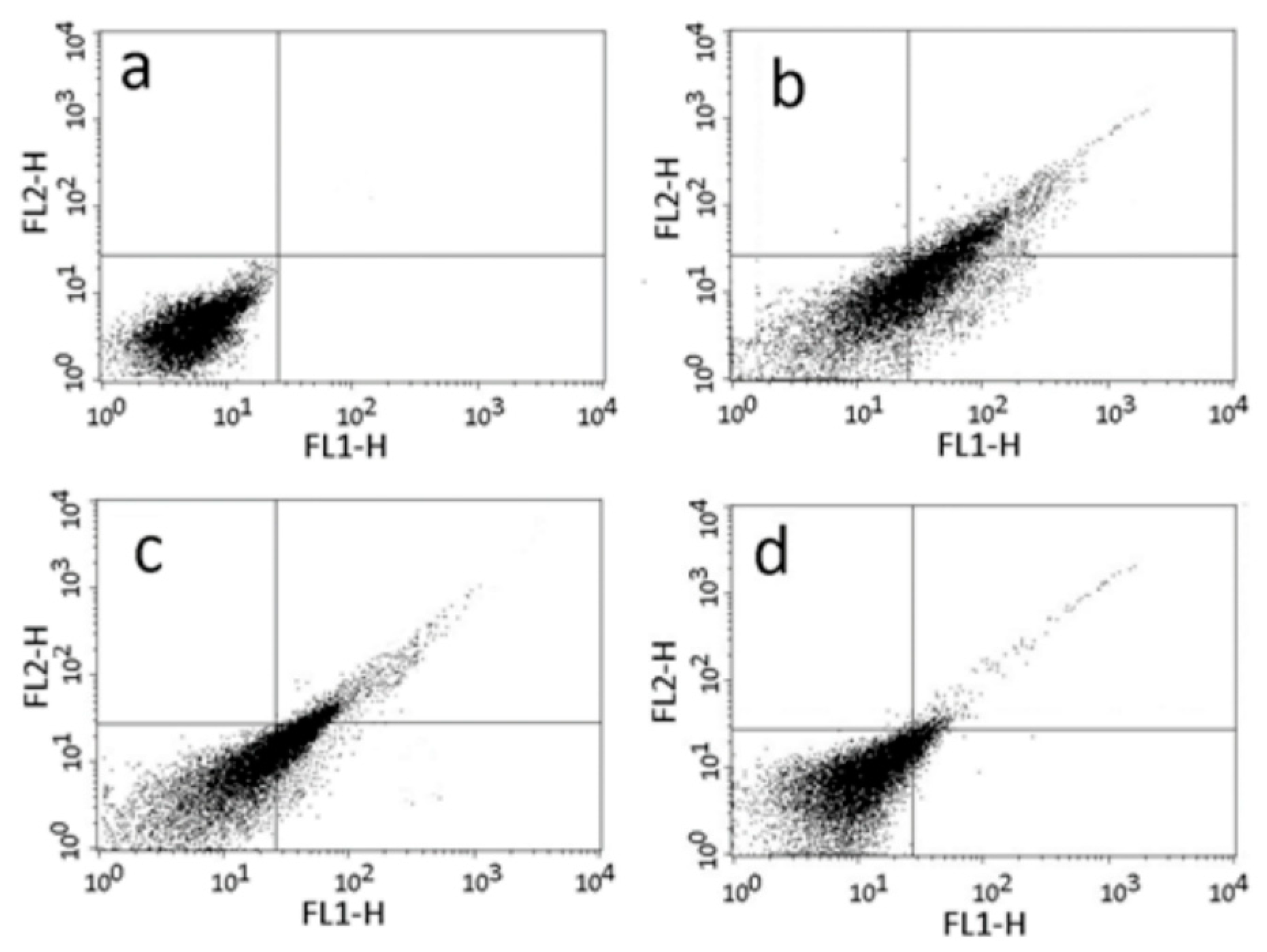 Pharmaceuticals 14 01199 g005