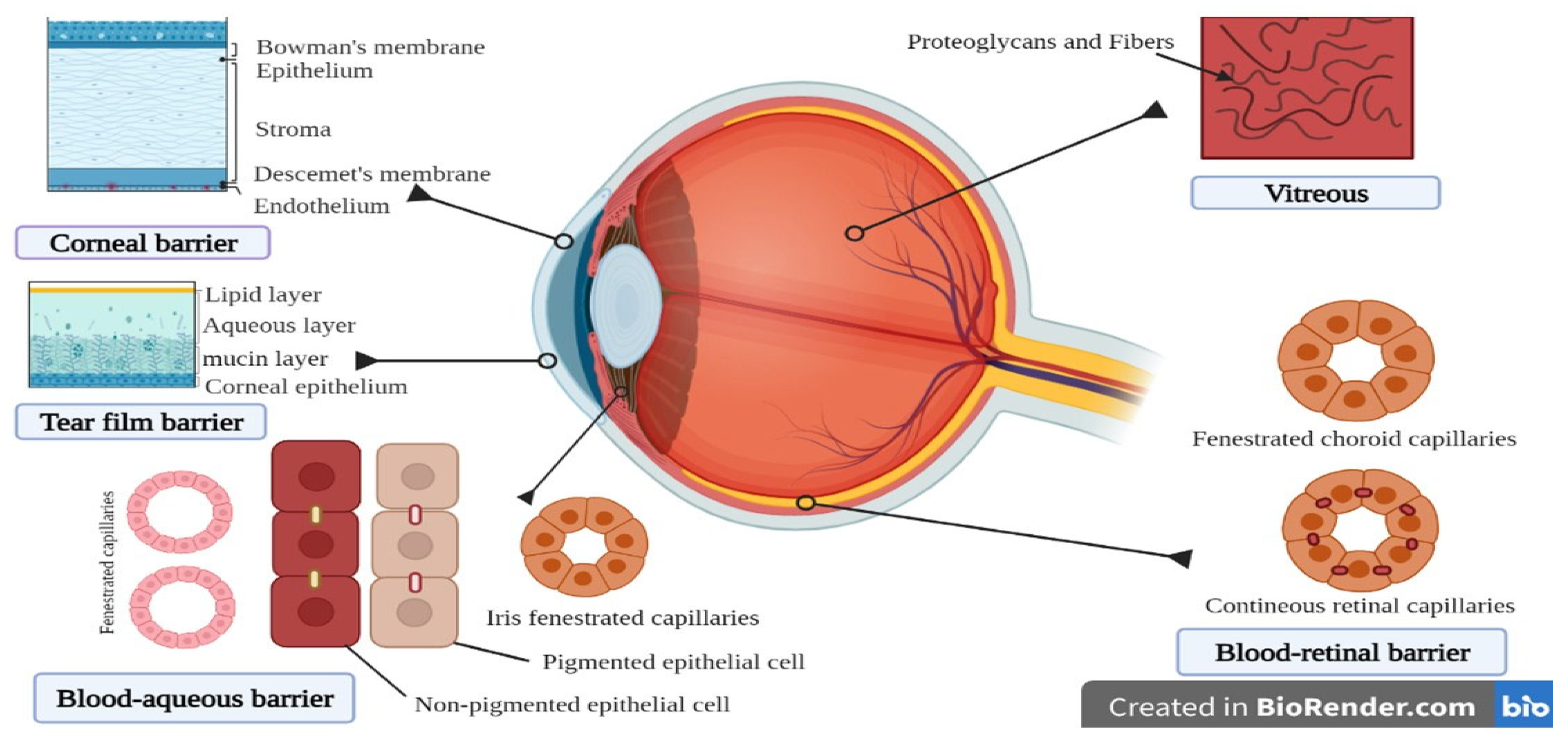 Pharmaceuticals 14 01201 g002