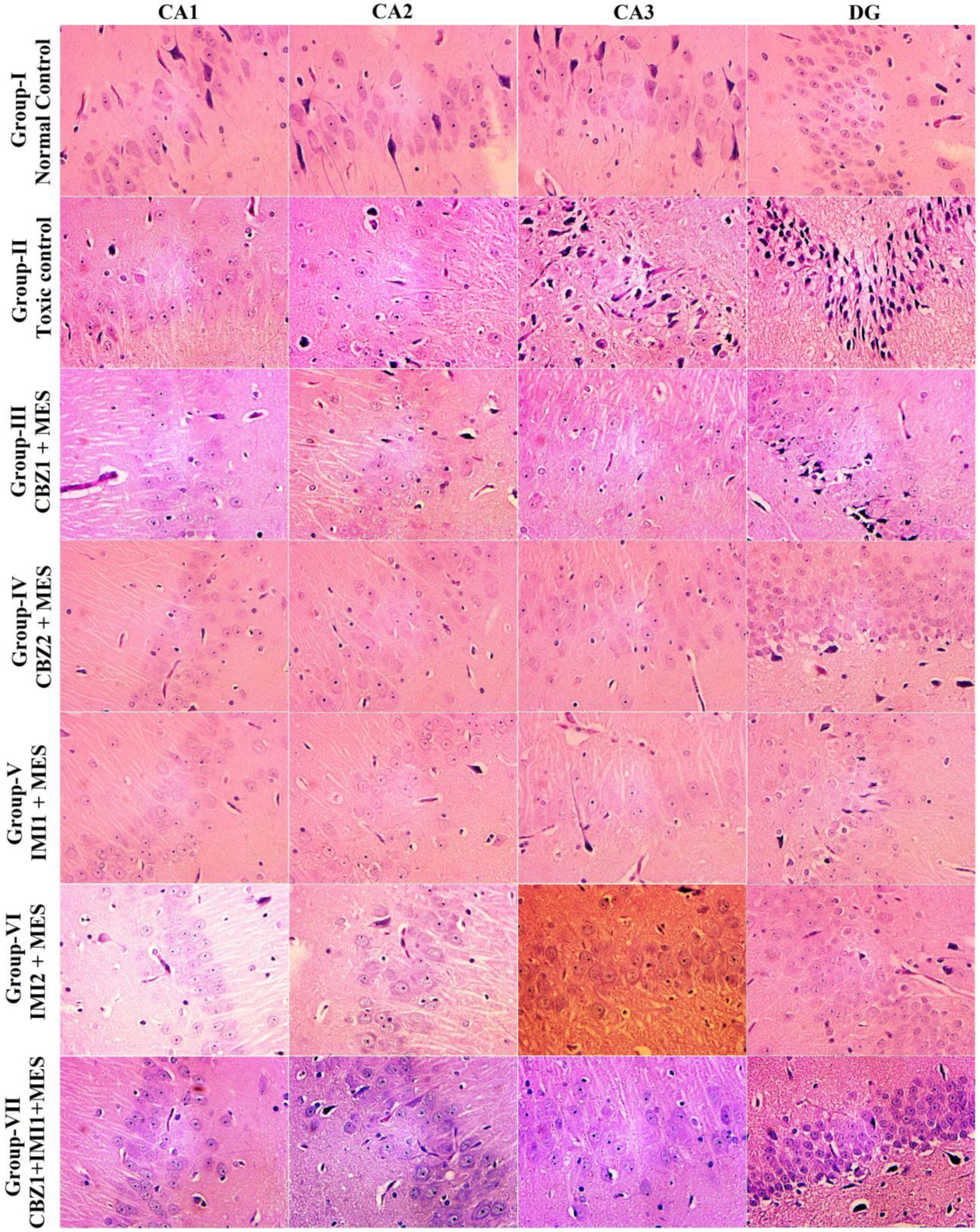 Pharmaceuticals 14 01204 g007 550