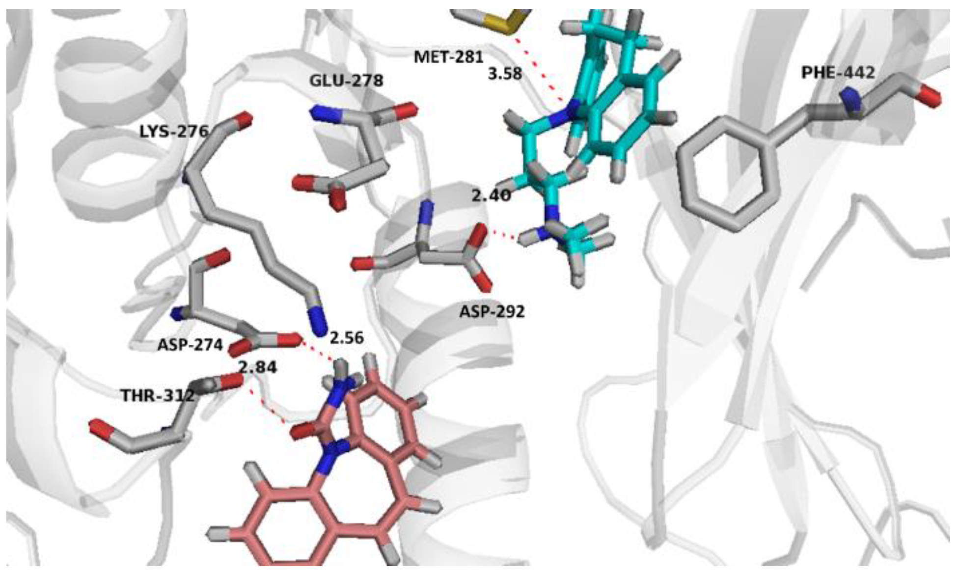 Pharmaceuticals 14 01204 g010 550