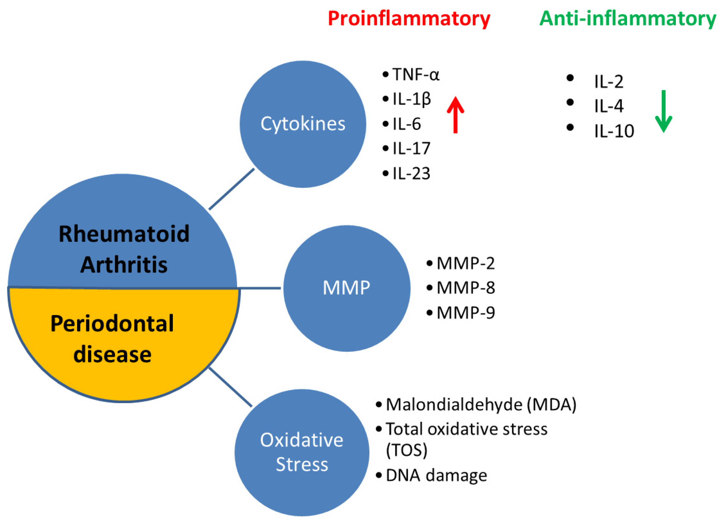 Pharmaceuticals 14 01209 g001