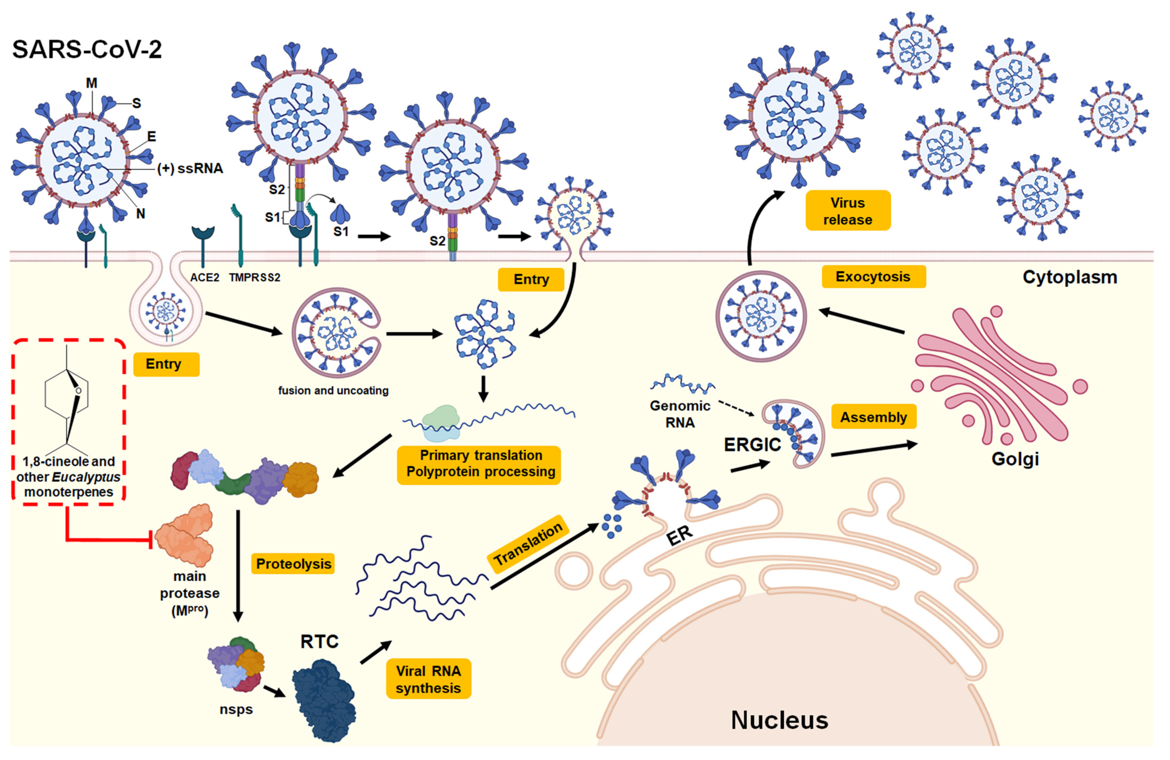 Pharmaceuticals 14 01210 g004