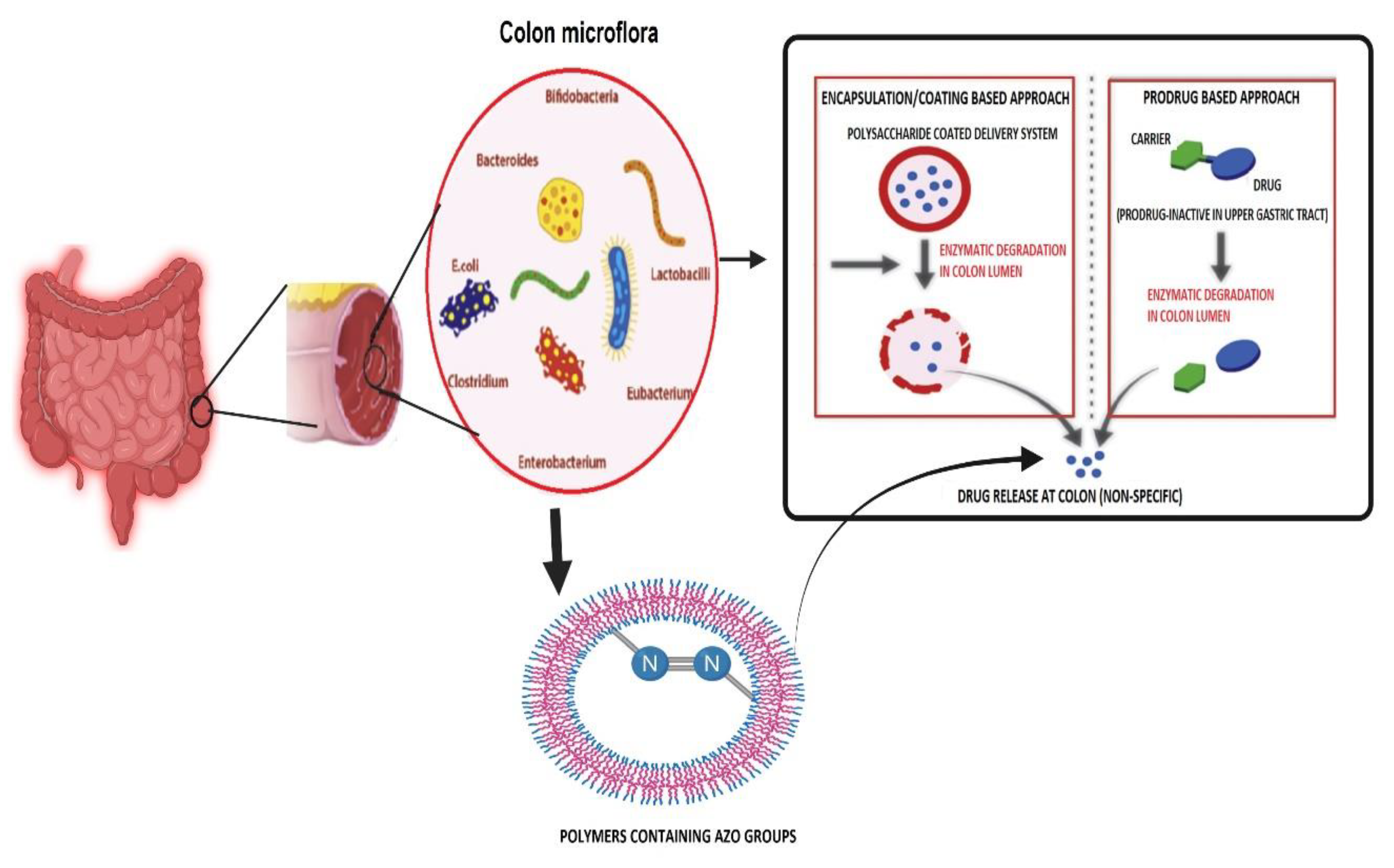 Pharmaceuticals 14 01211 g001 Pharmaceuticals 14 01211 g001