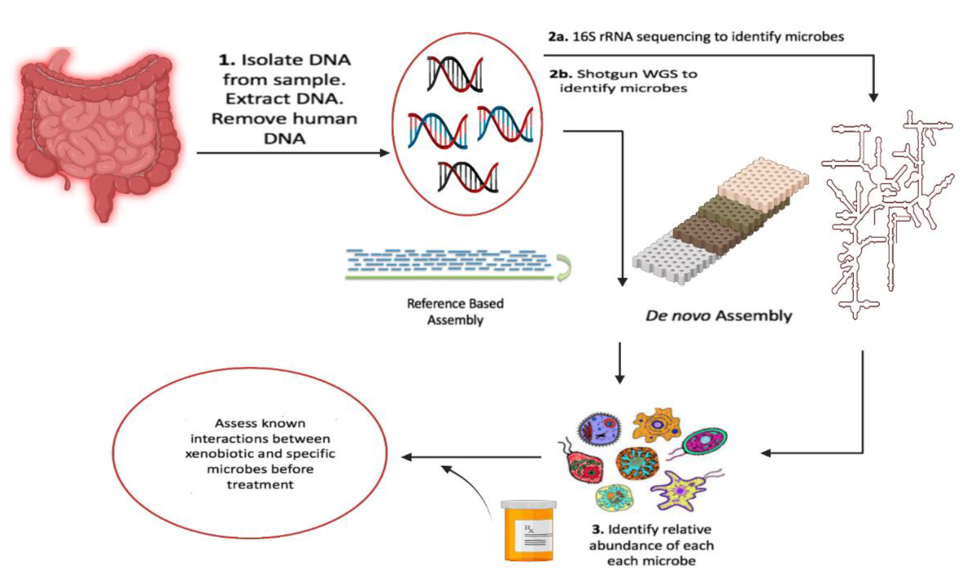 Pharmaceuticals 14 01211 g002 Pharmaceuticals 14 01211 g002
