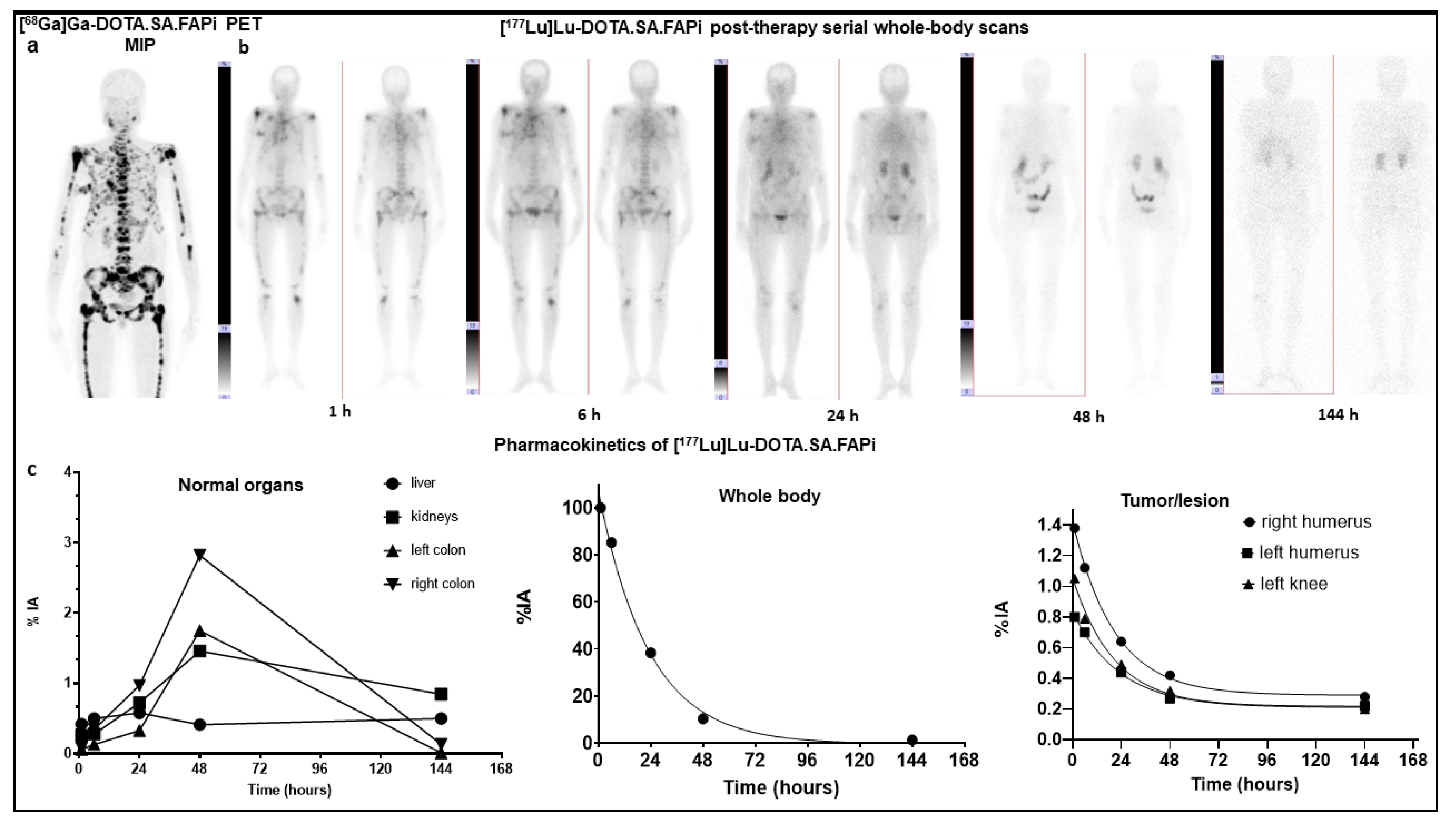 Pharmaceuticals 14 01212 g002