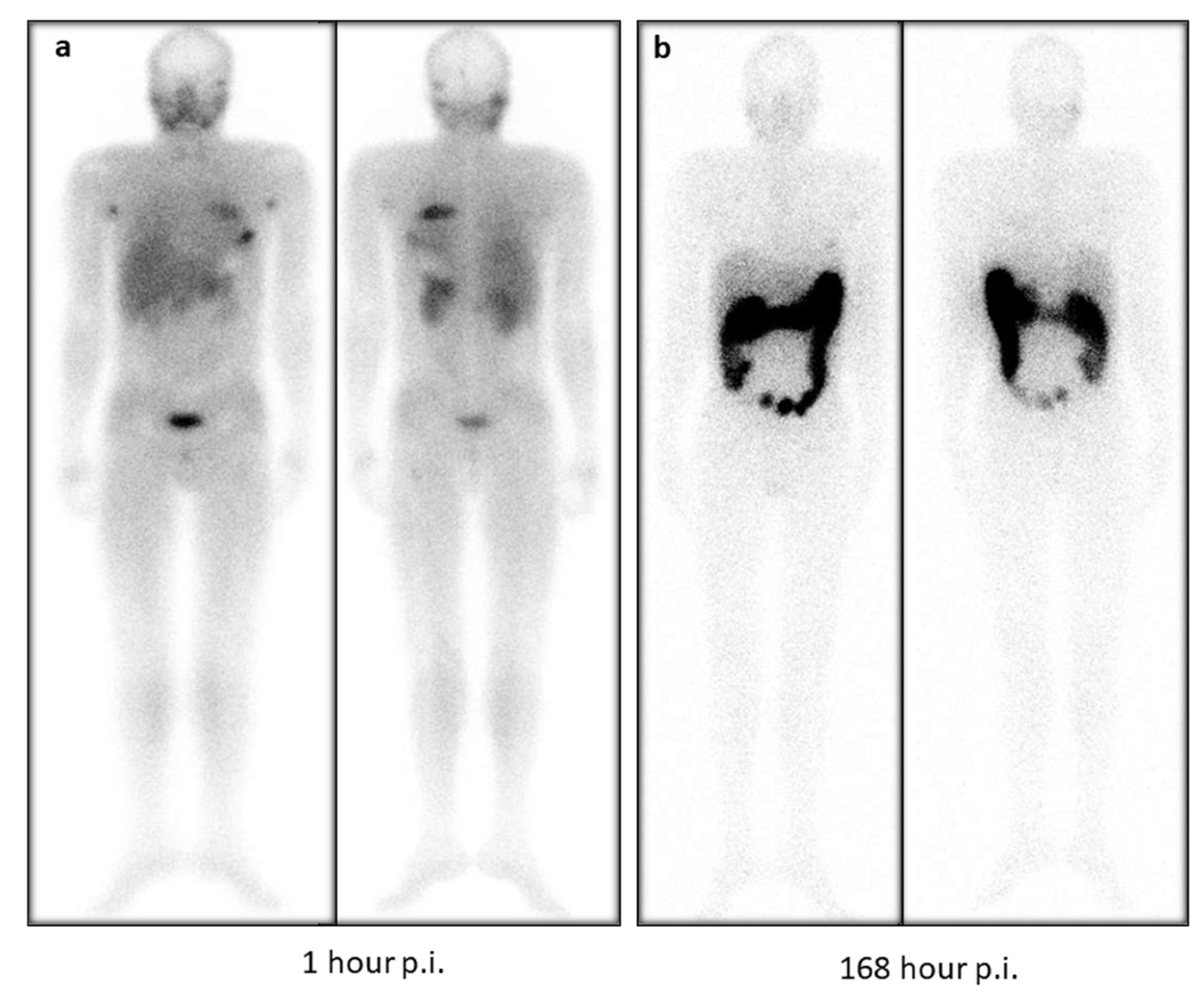 Pharmaceuticals 14 01212 g004