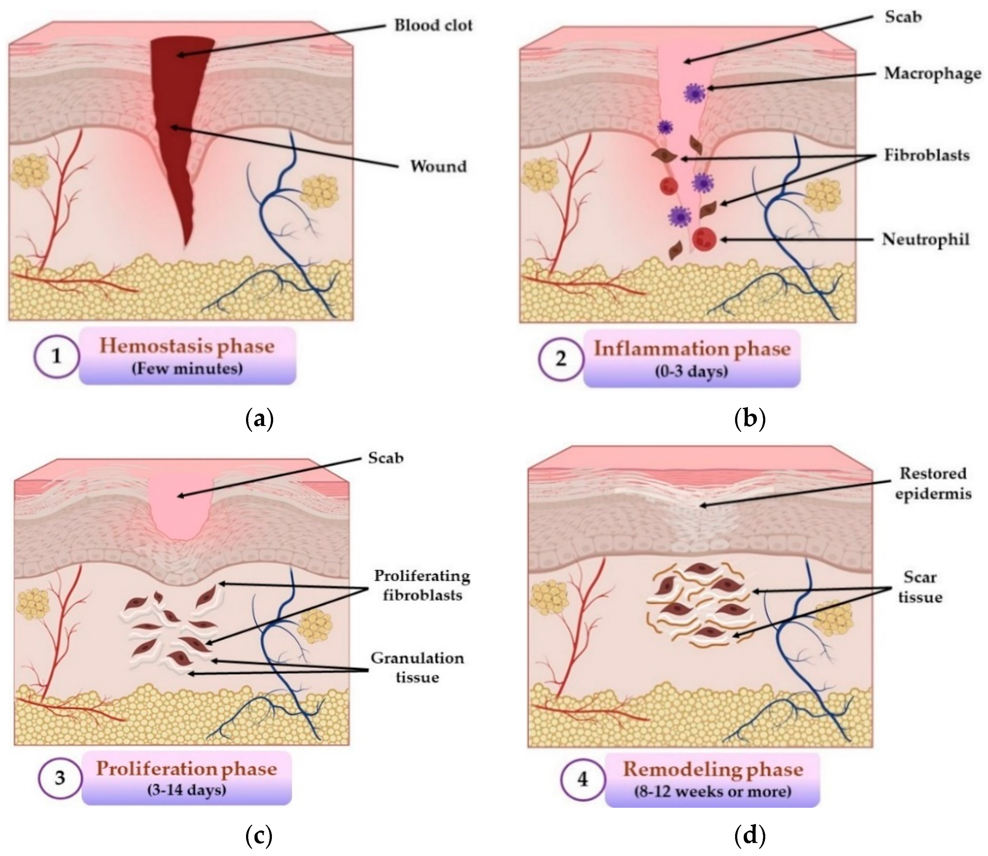 Pharmaceuticals 14 01215 g001 Pharmaceuticals 14 01215 g001