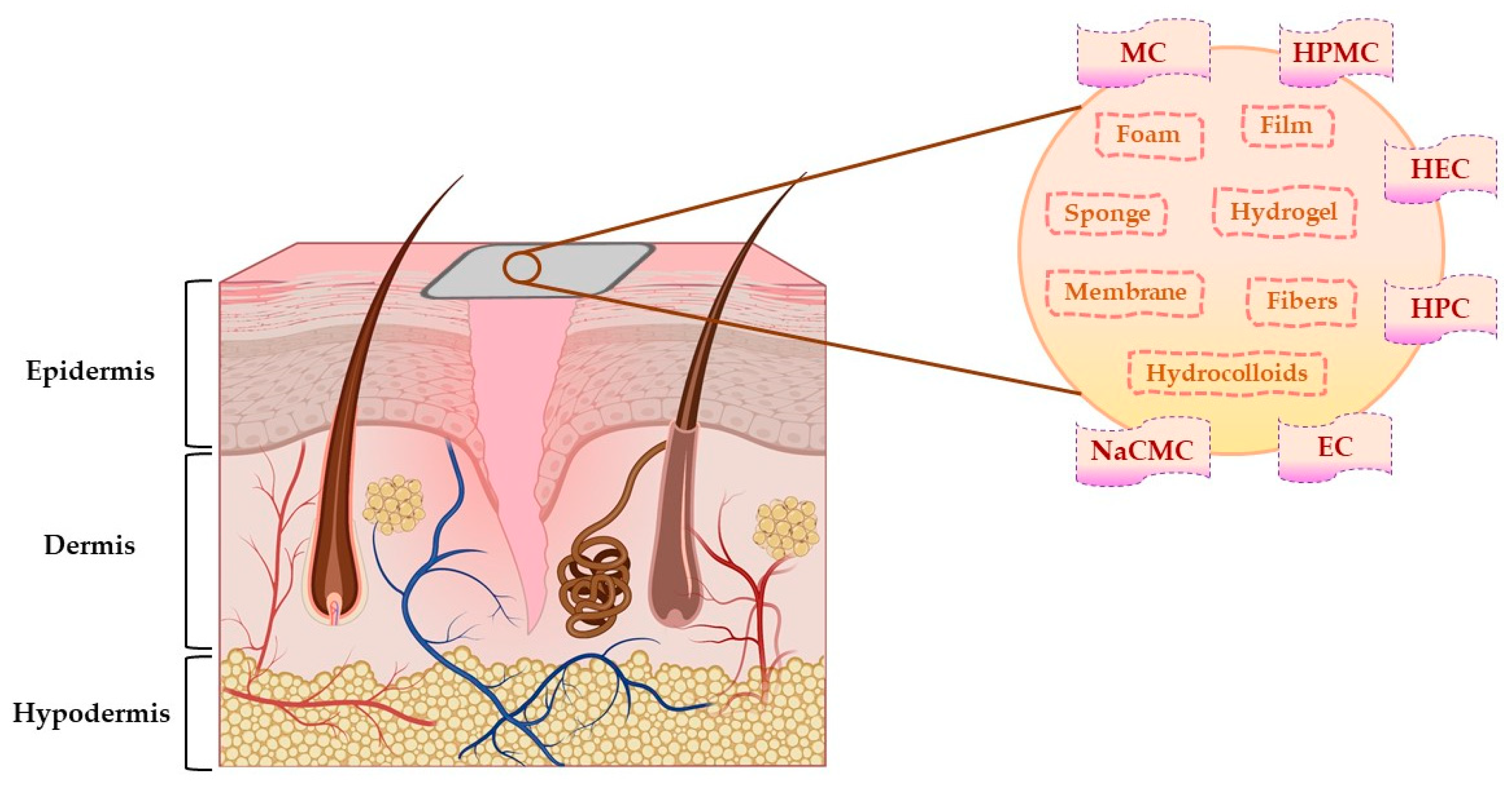 Pharmaceuticals 14 01215 g006 Pharmaceuticals 14 01215 g006
