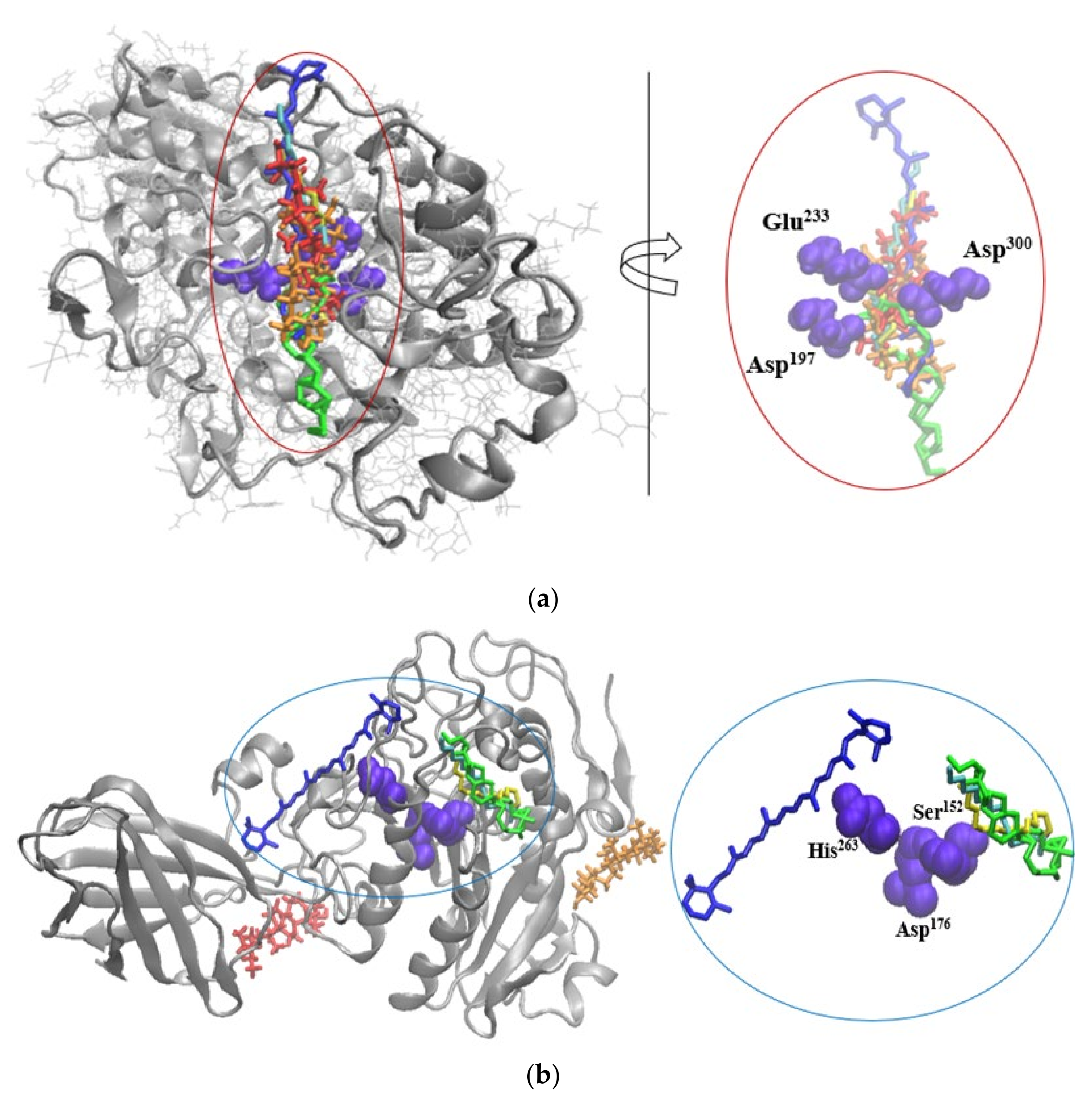 Pharmaceuticals 14 01217 g002a