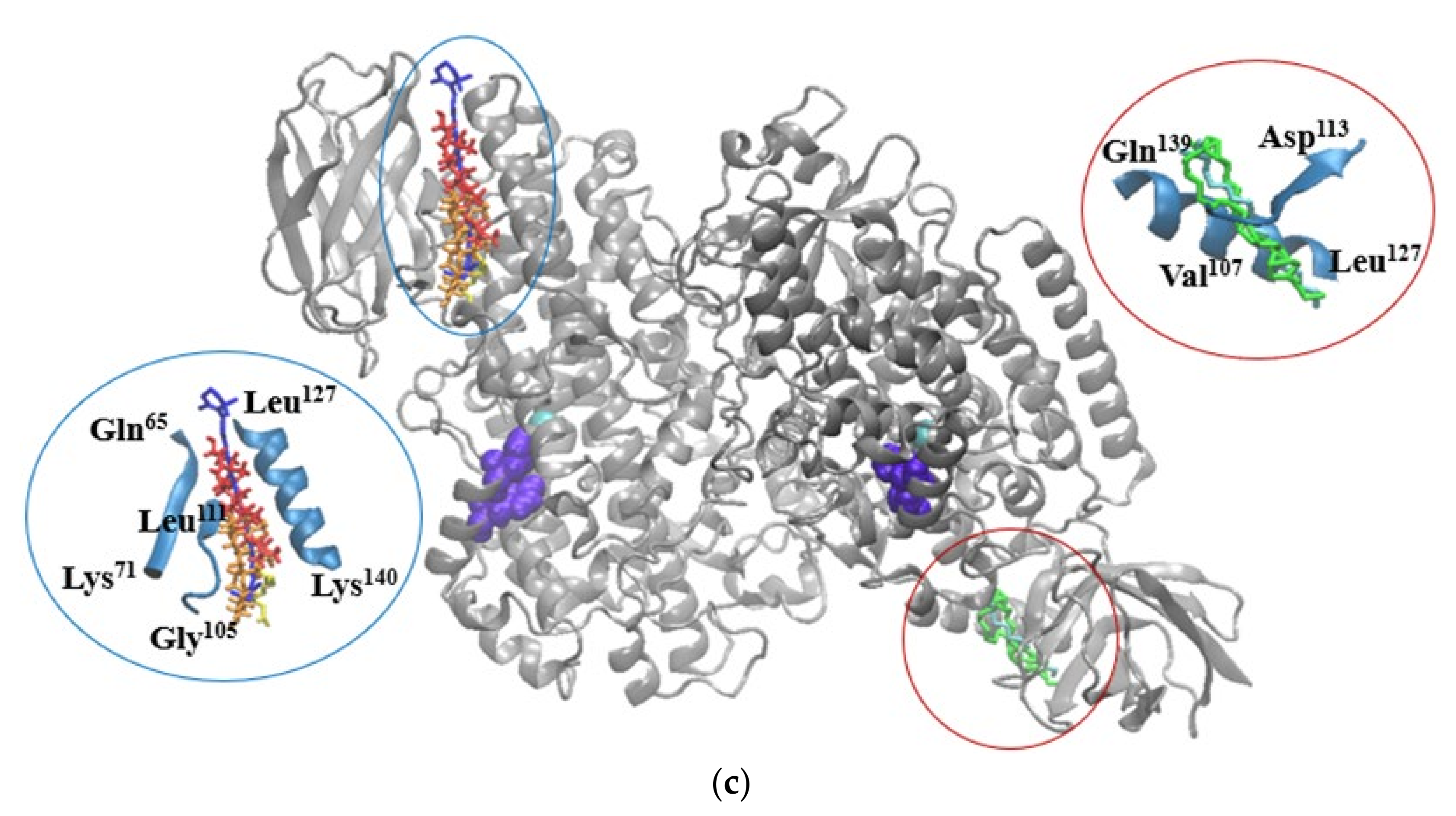 Pharmaceuticals 14 01217 g002b