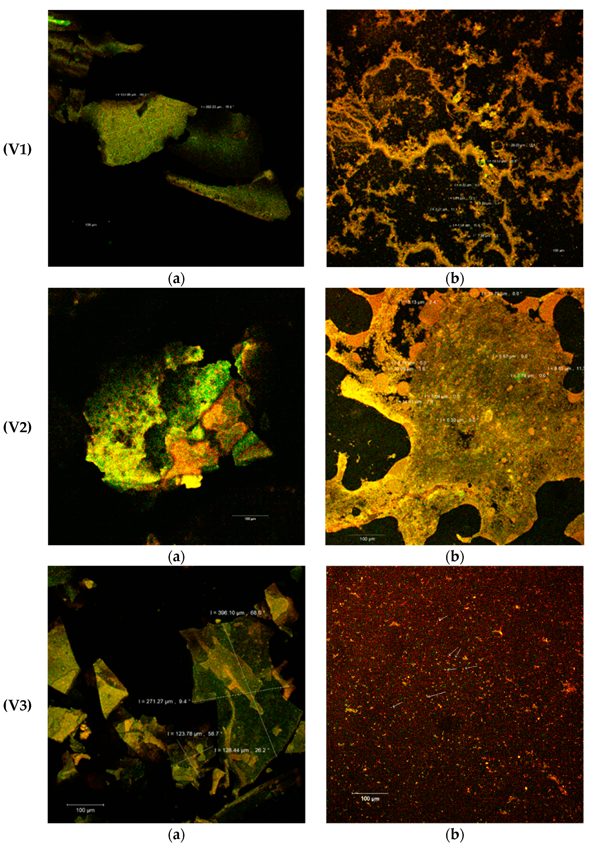Pharmaceuticals 14 01217 g003a
