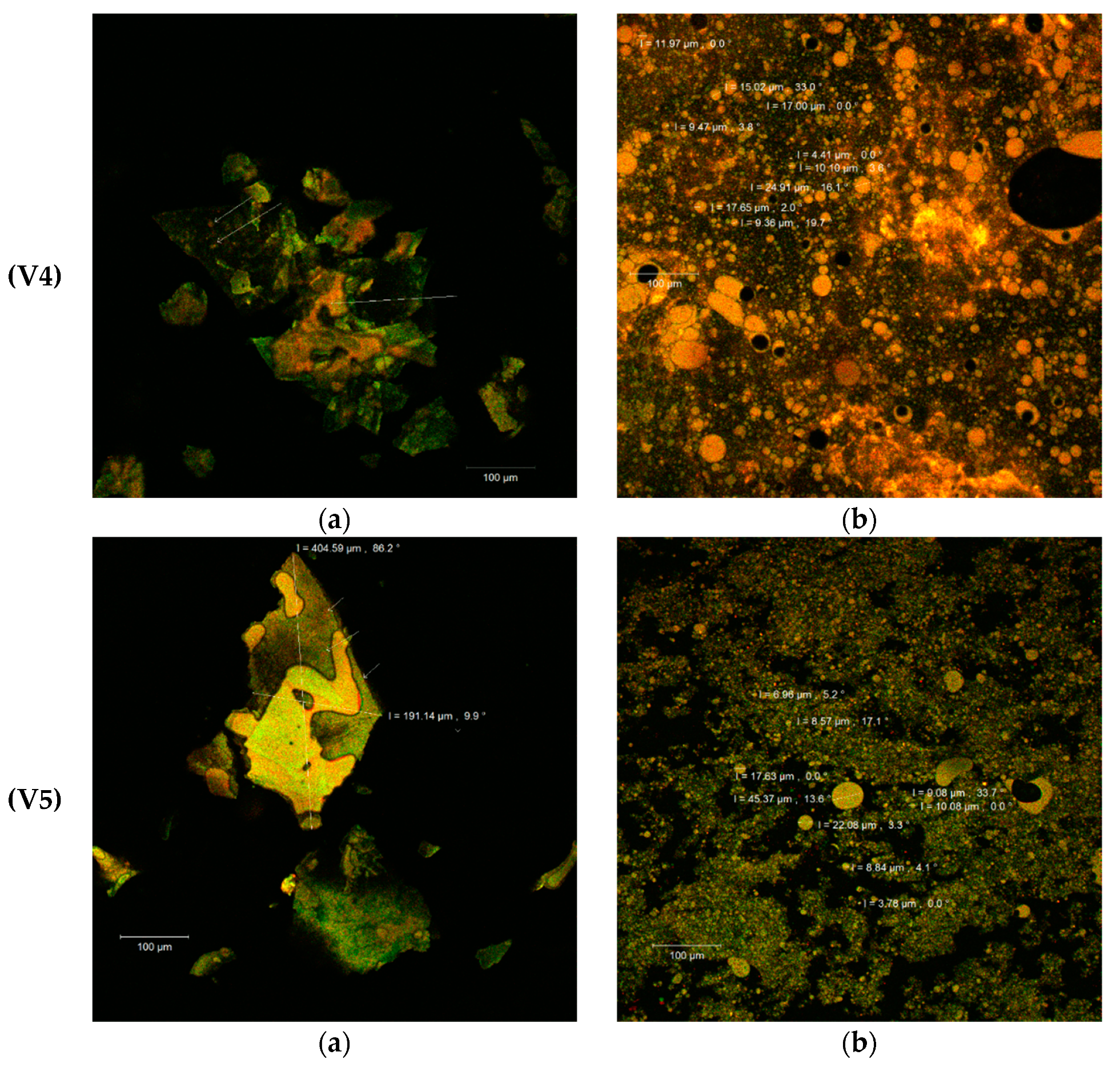 Pharmaceuticals 14 01217 g003b