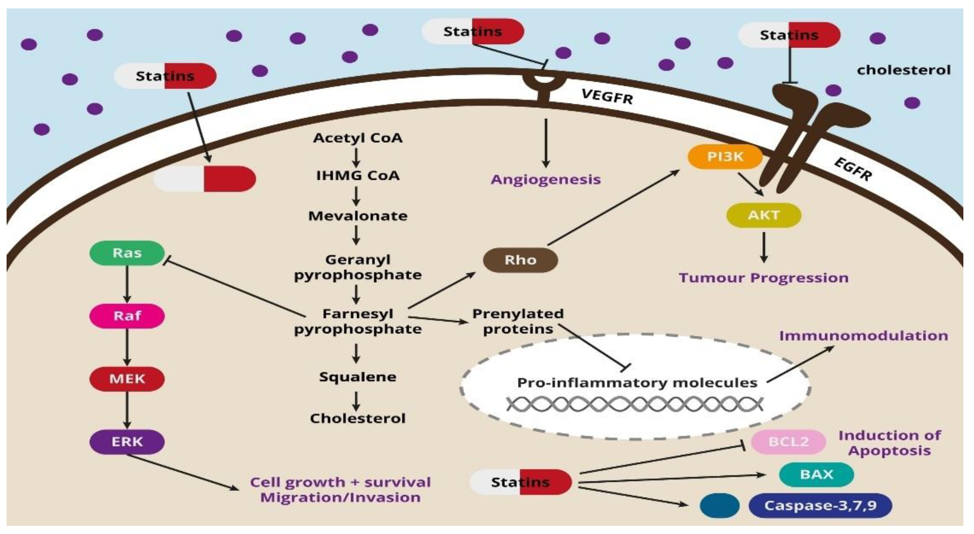 Pharmaceuticals 14 01220 g001 Pharmaceuticals 14 01220 g001