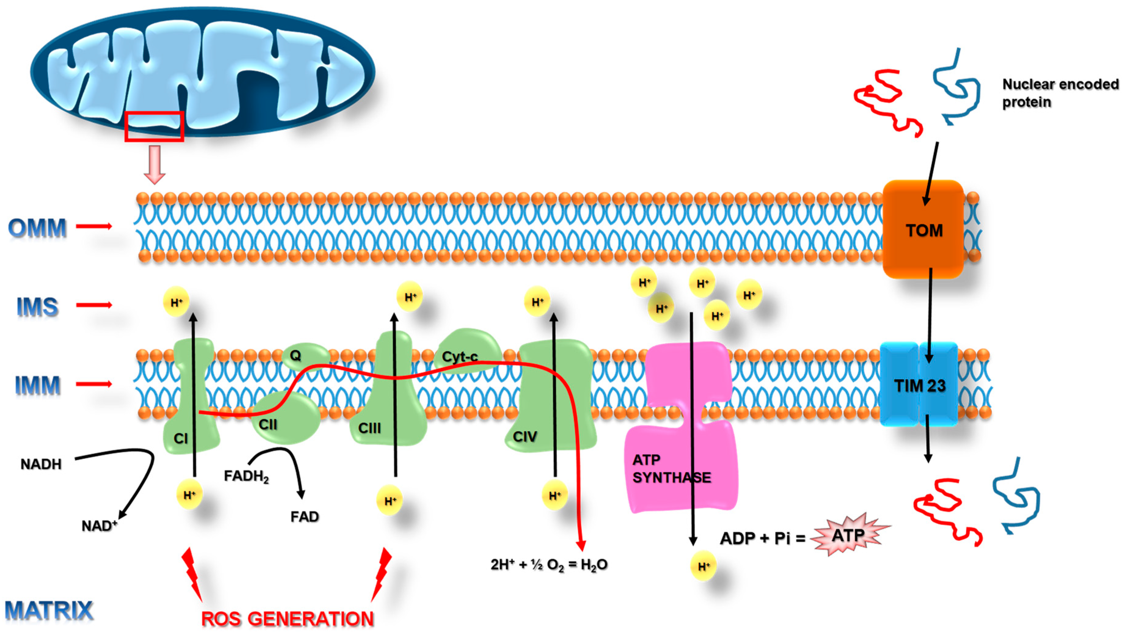 Pharmaceuticals 14 01221 g001