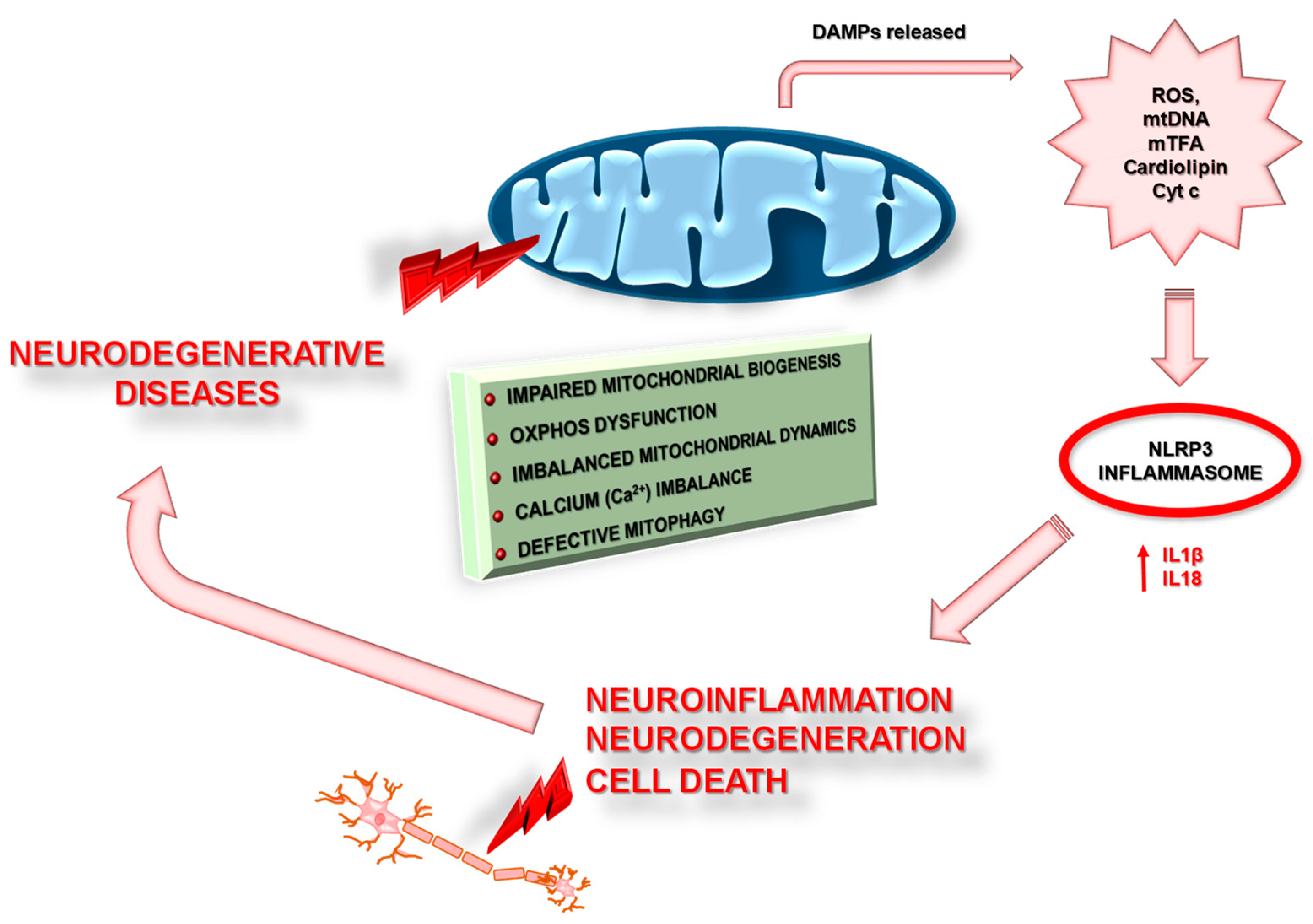Pharmaceuticals 14 01221 g005