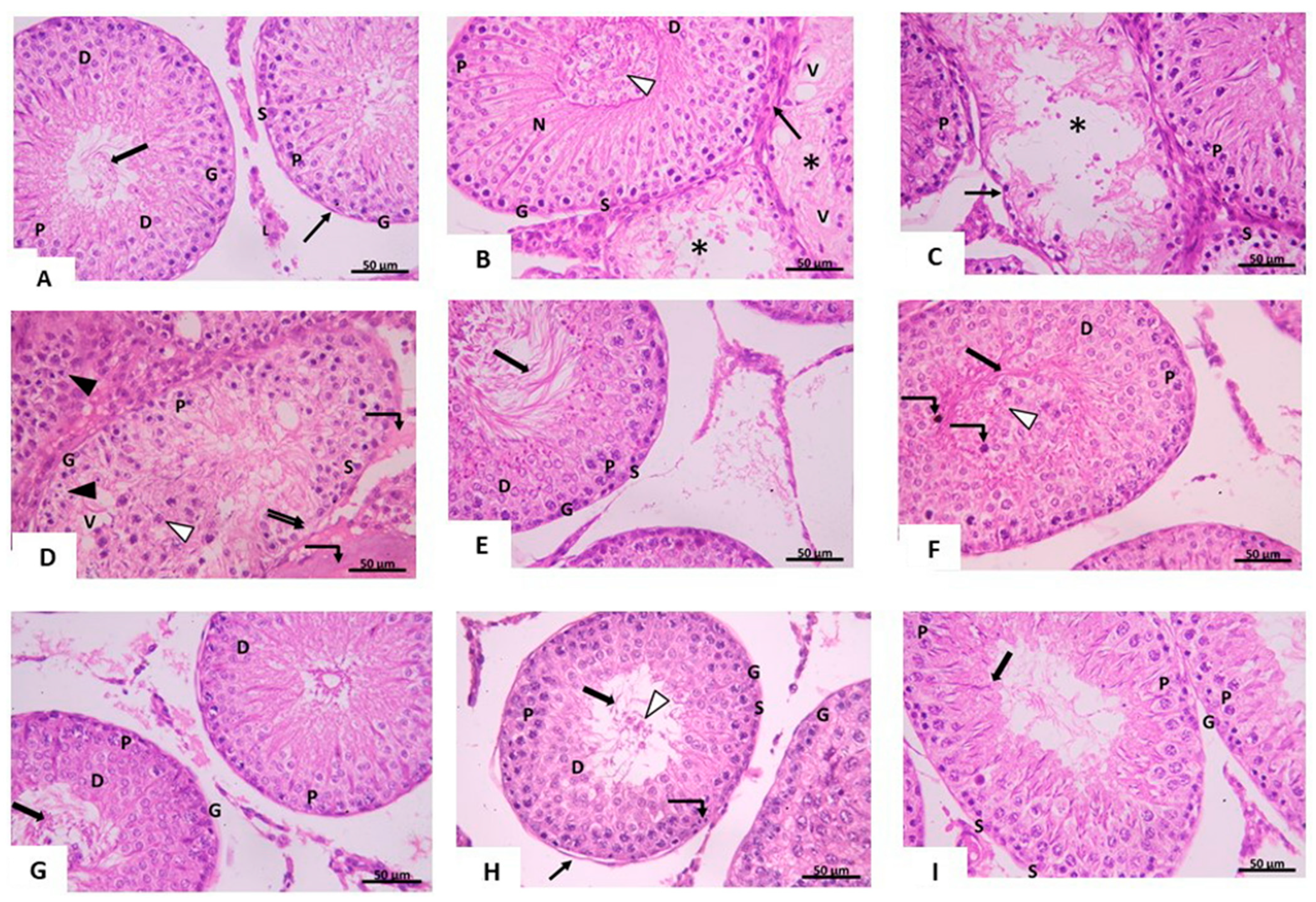 Pharmaceuticals 14 01222 g001 Pharmaceuticals 14 01222 g001