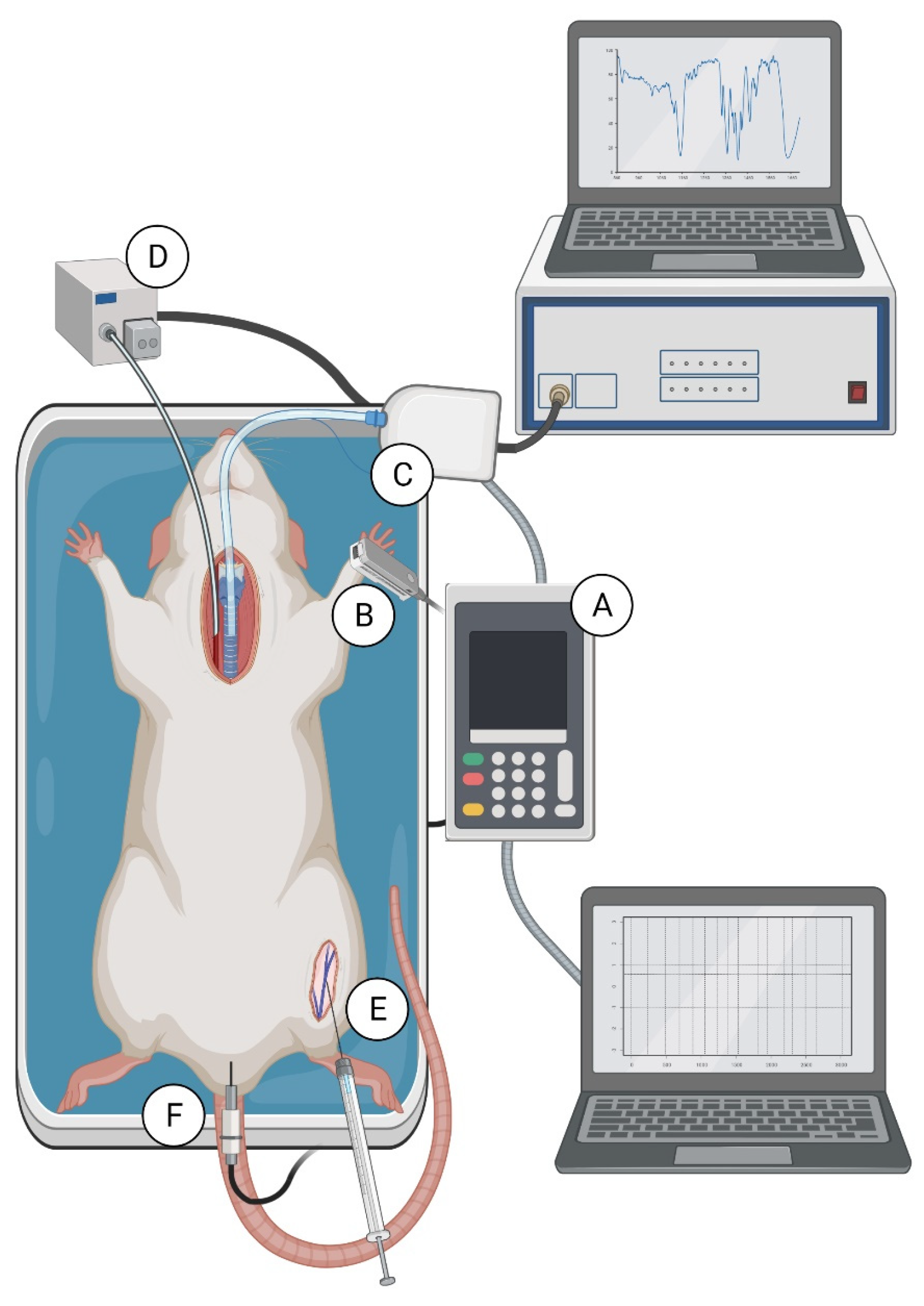 Pharmaceuticals 14 01223 g006 Pharmaceuticals 14 01223 g006