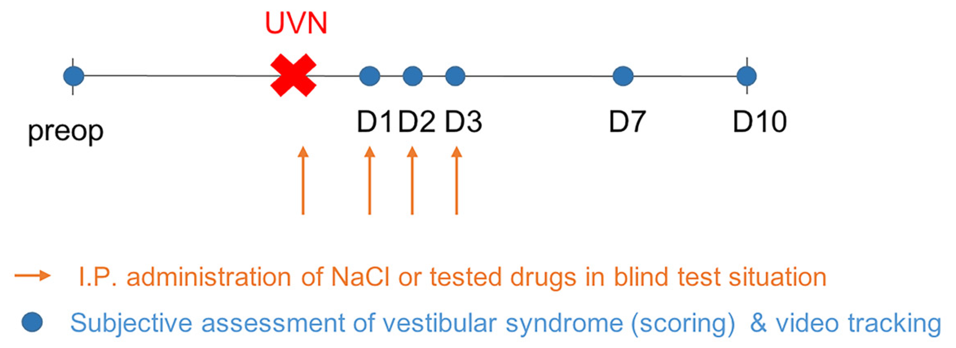 Pharmaceuticals 14 01226 g006