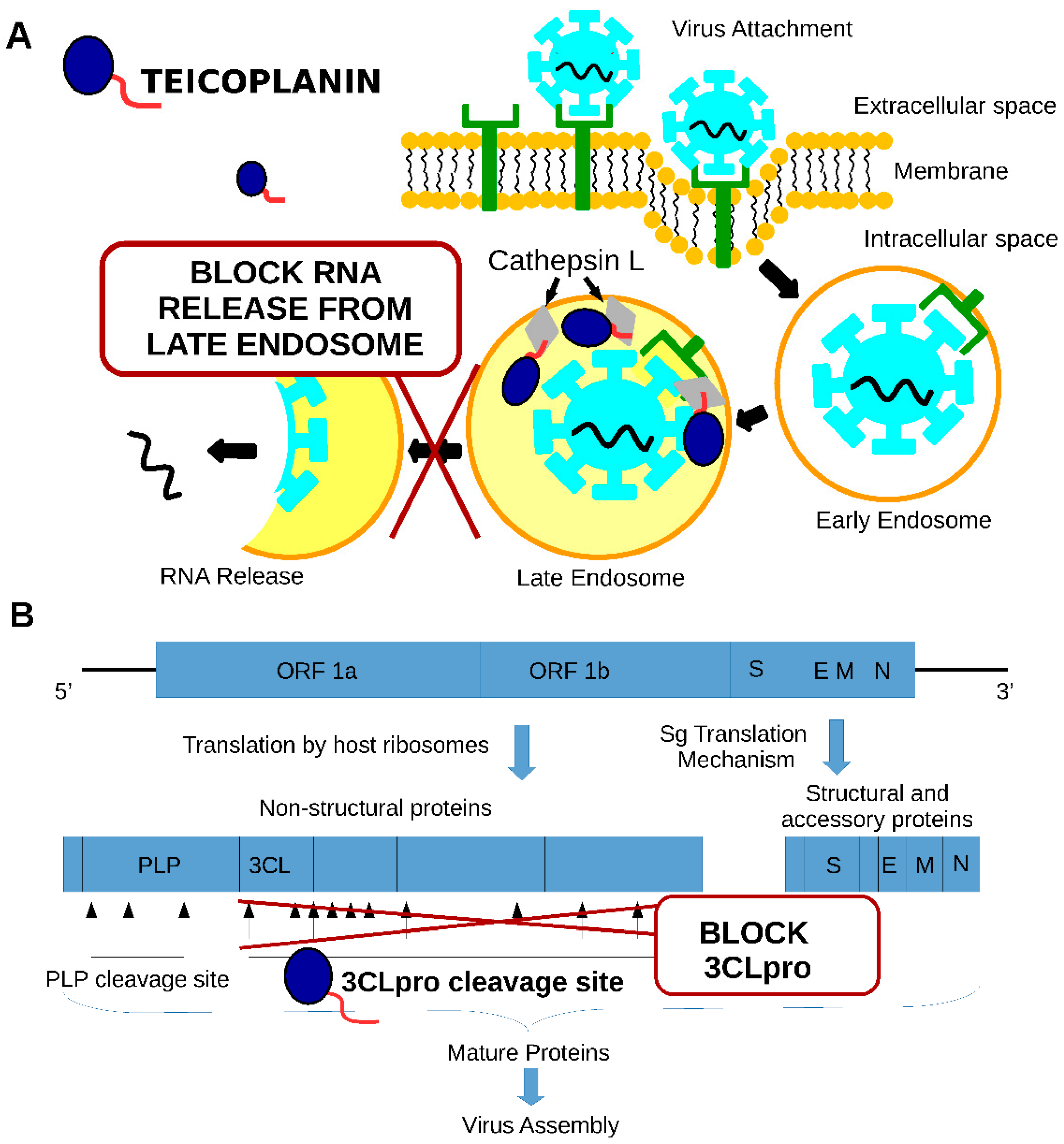 Pharmaceuticals 14 01227 g003 Pharmaceuticals 14 01227 g003