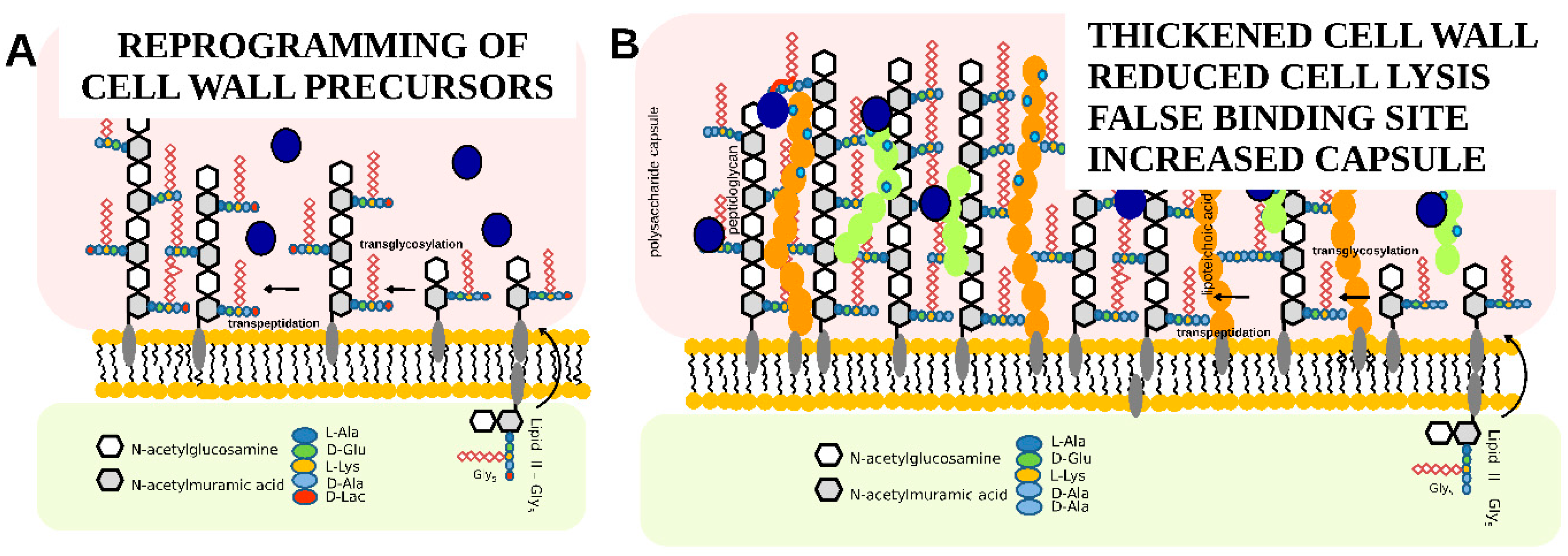 Pharmaceuticals 14 01227 g004 Pharmaceuticals 14 01227 g004