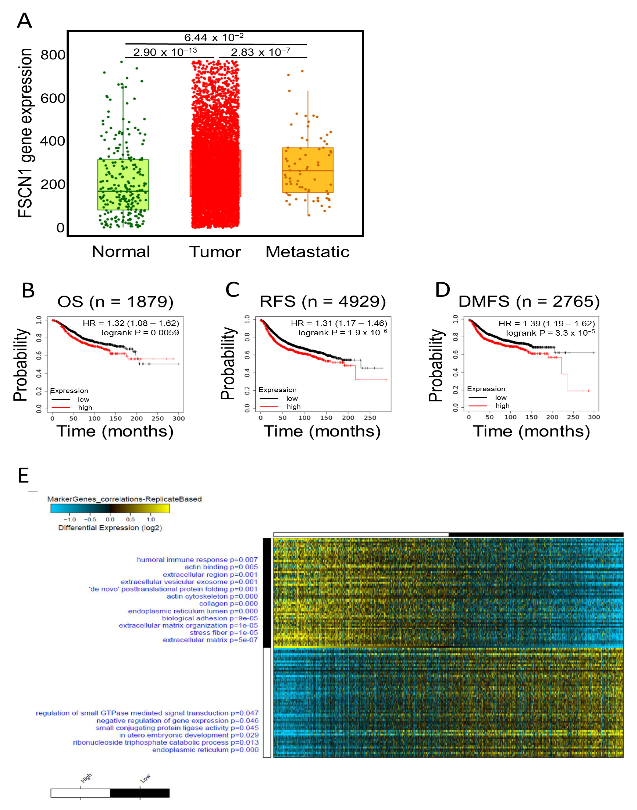 Pharmaceuticals 14 01228 g001