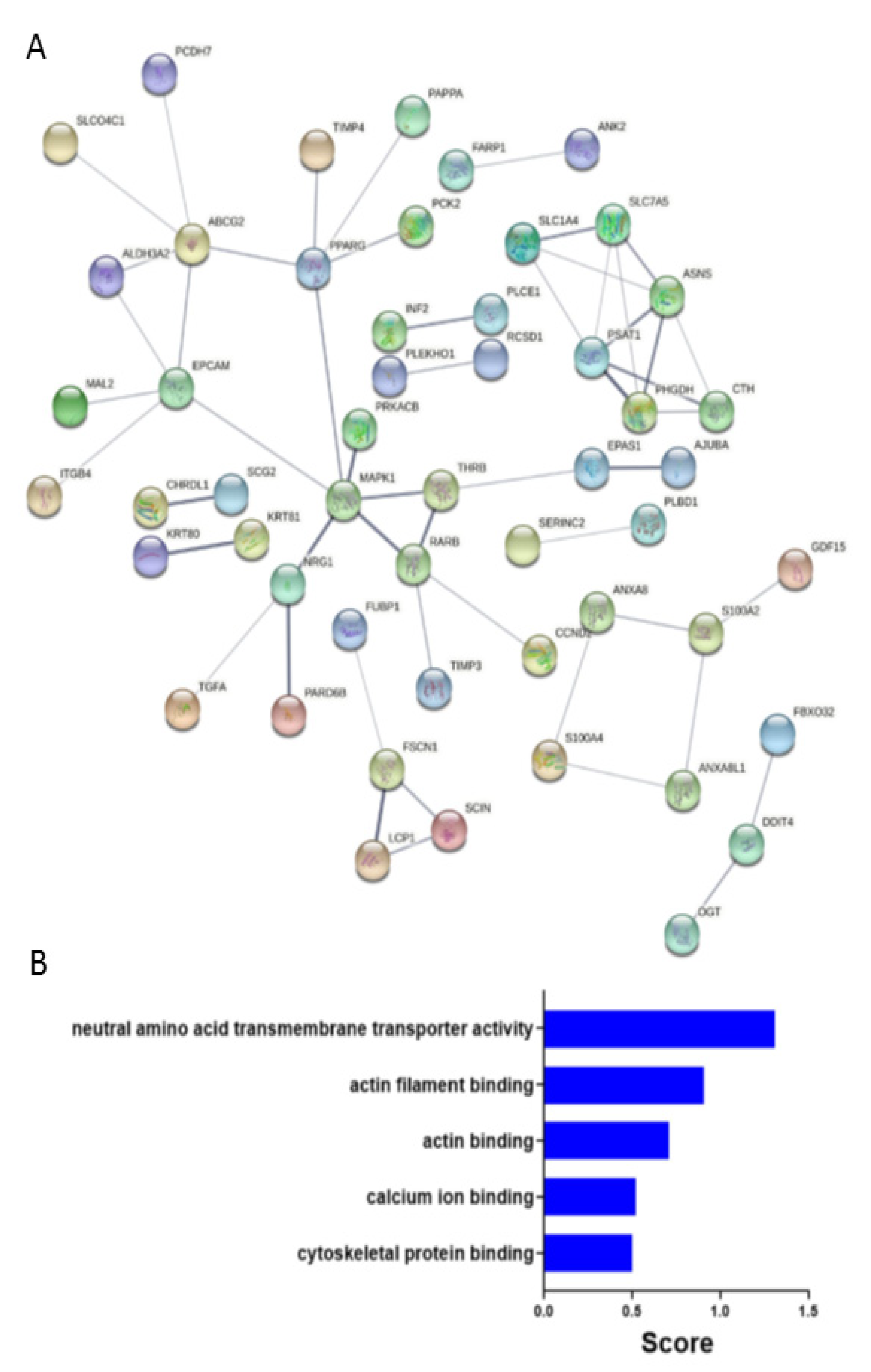 Pharmaceuticals 14 01228 g006