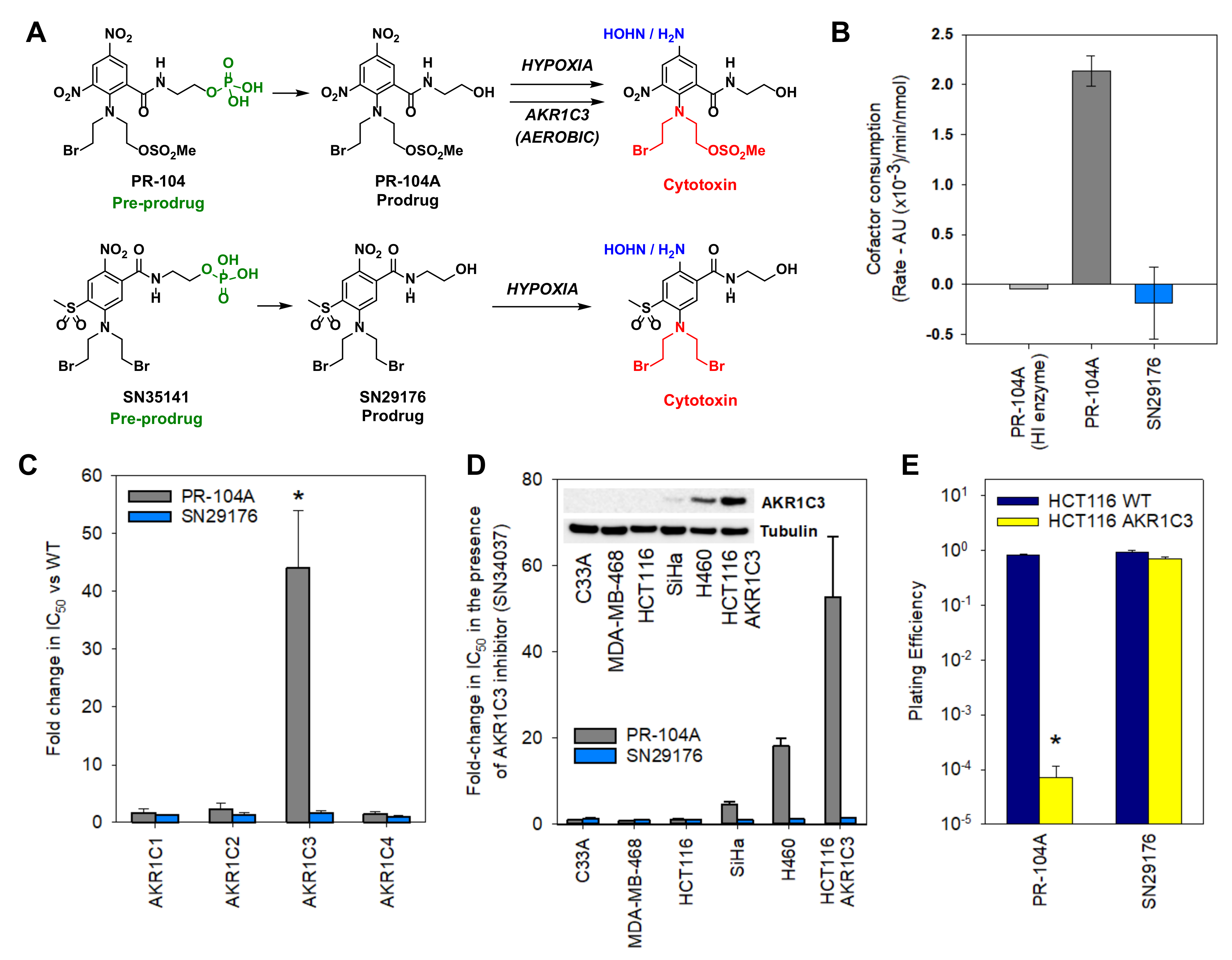 Pharmaceuticals 14 01231 g003