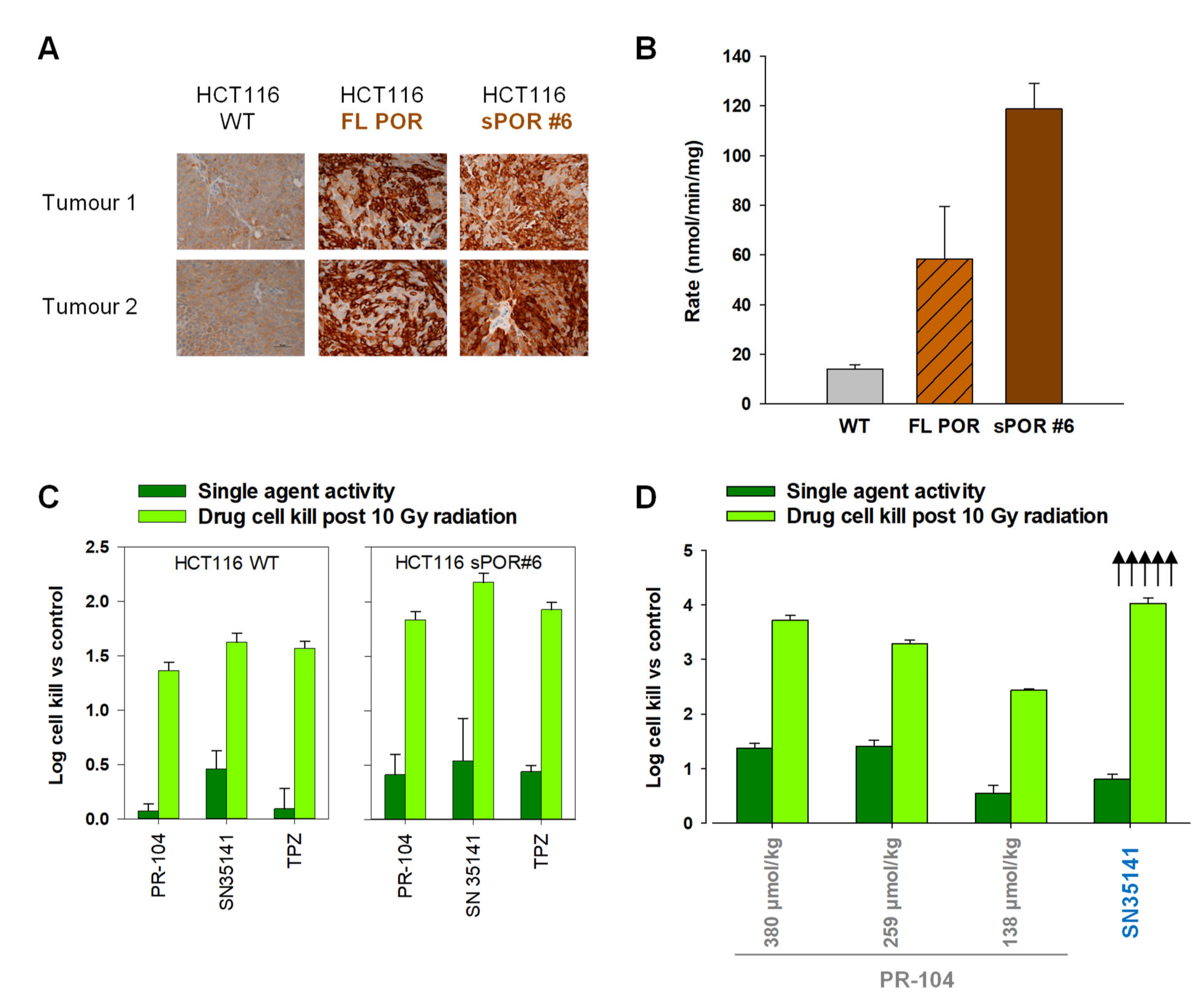 Pharmaceuticals 14 01231 g005
