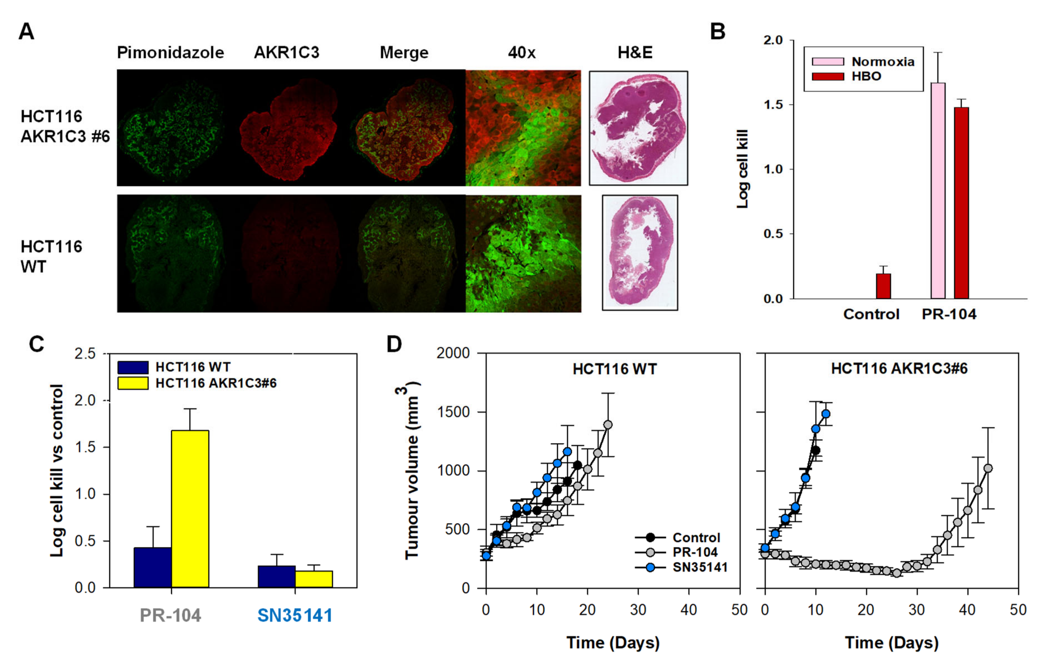 Pharmaceuticals 14 01231 g006