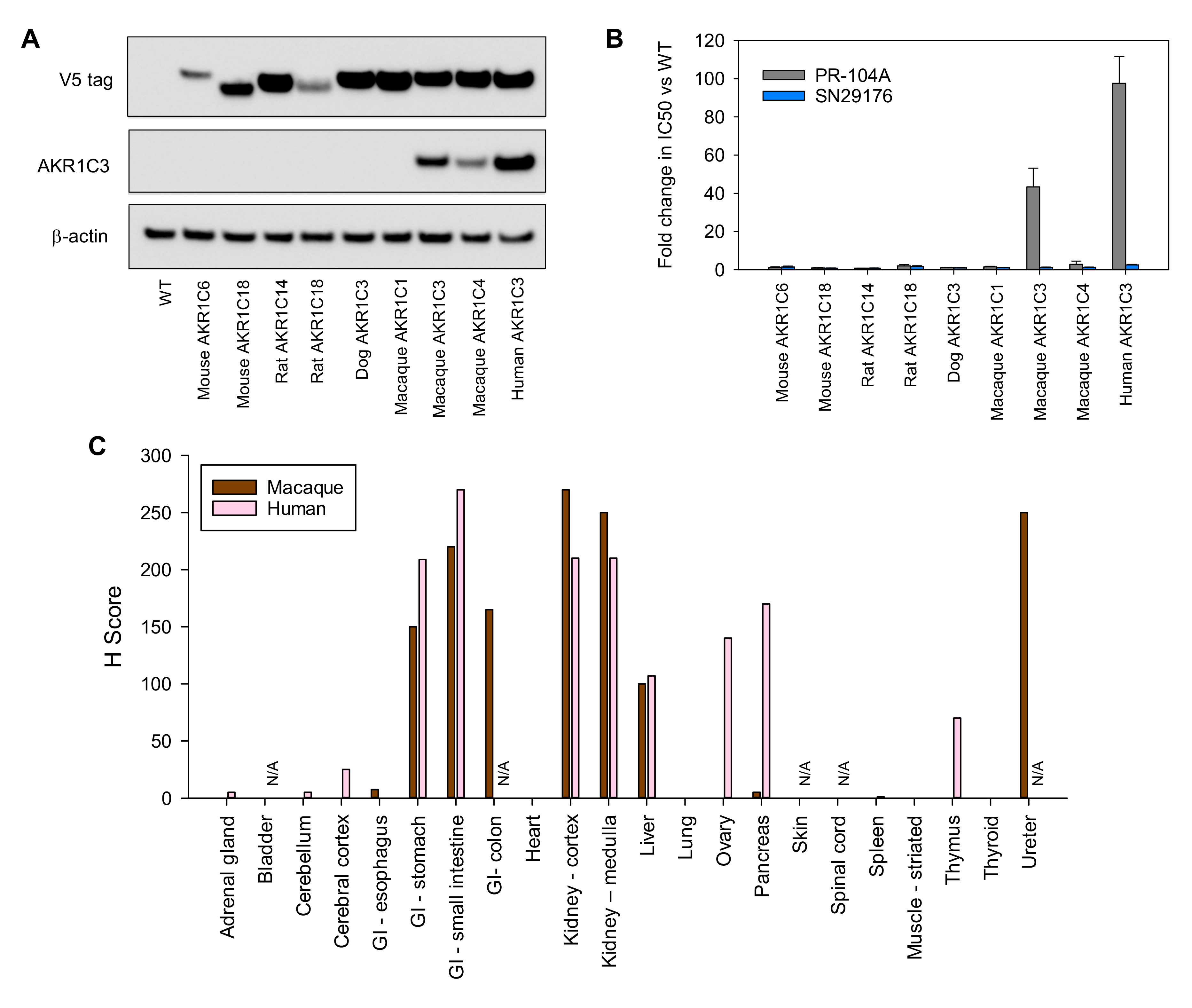 Pharmaceuticals 14 01231 g007