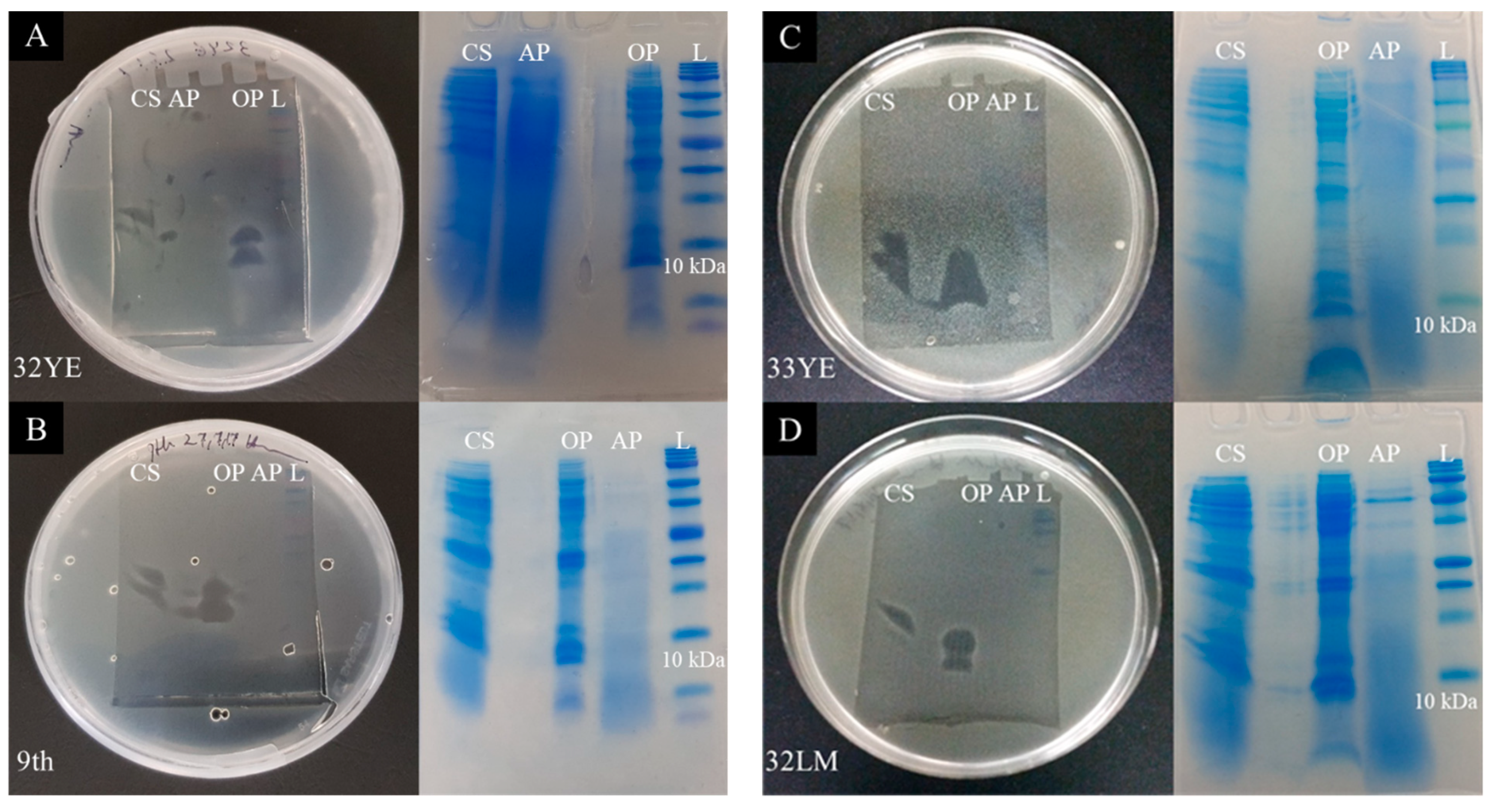 Pharmaceuticals 14 01232 g002a Pharmaceuticals 14 01232 g002a