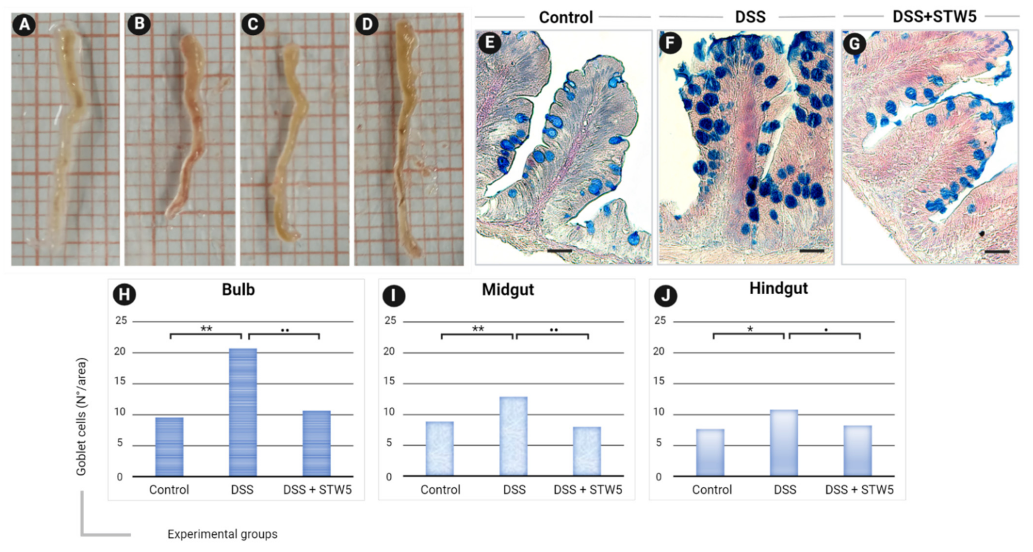 Pharmaceuticals 14 01234 g001 Pharmaceuticals 14 01234 g001