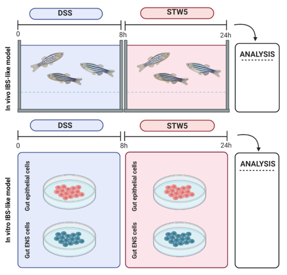 Pharmaceuticals 14 01234 g004 Pharmaceuticals 14 01234 g004