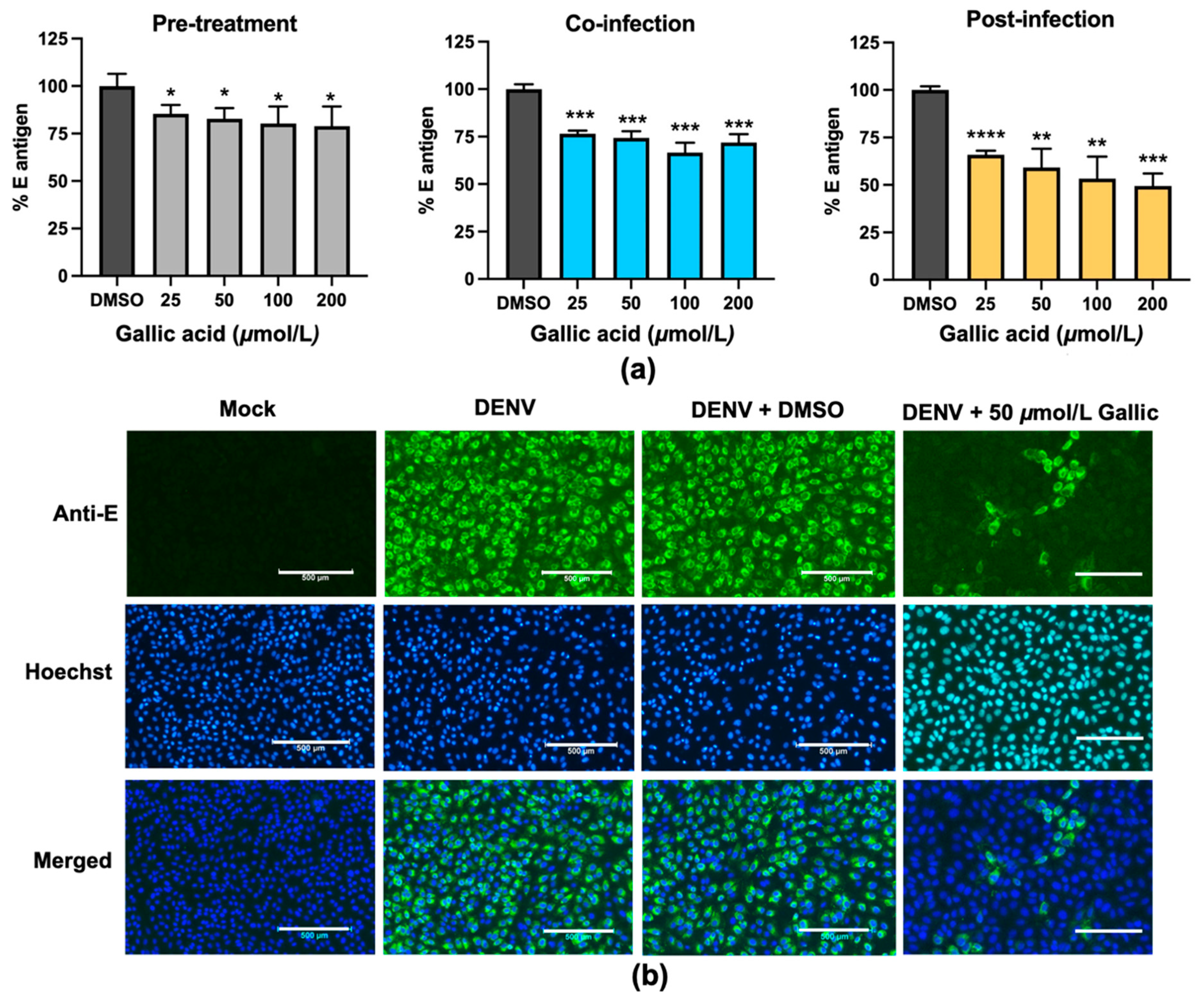 Pharmaceuticals 14 01236 g003