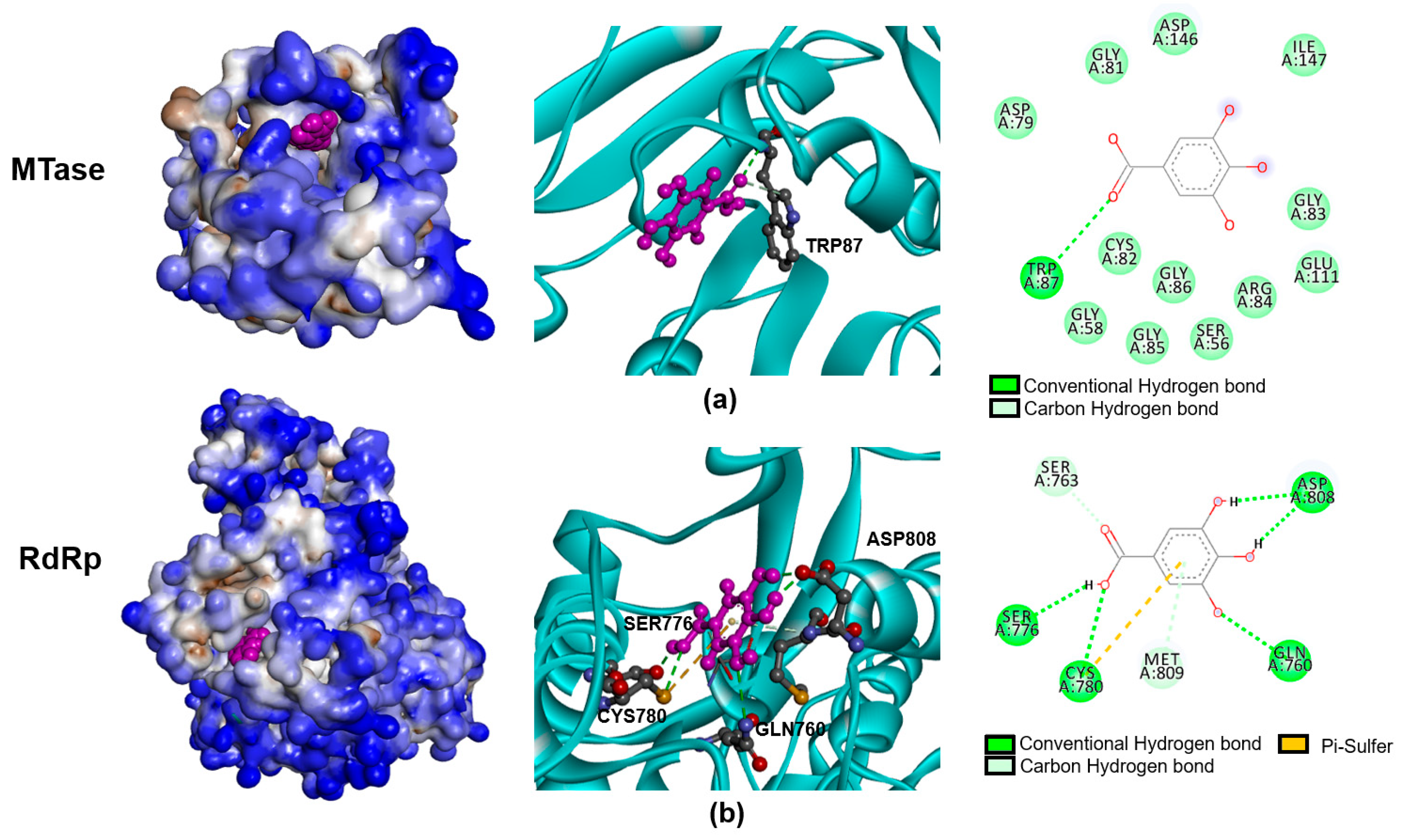 Pharmaceuticals 14 01236 g004
