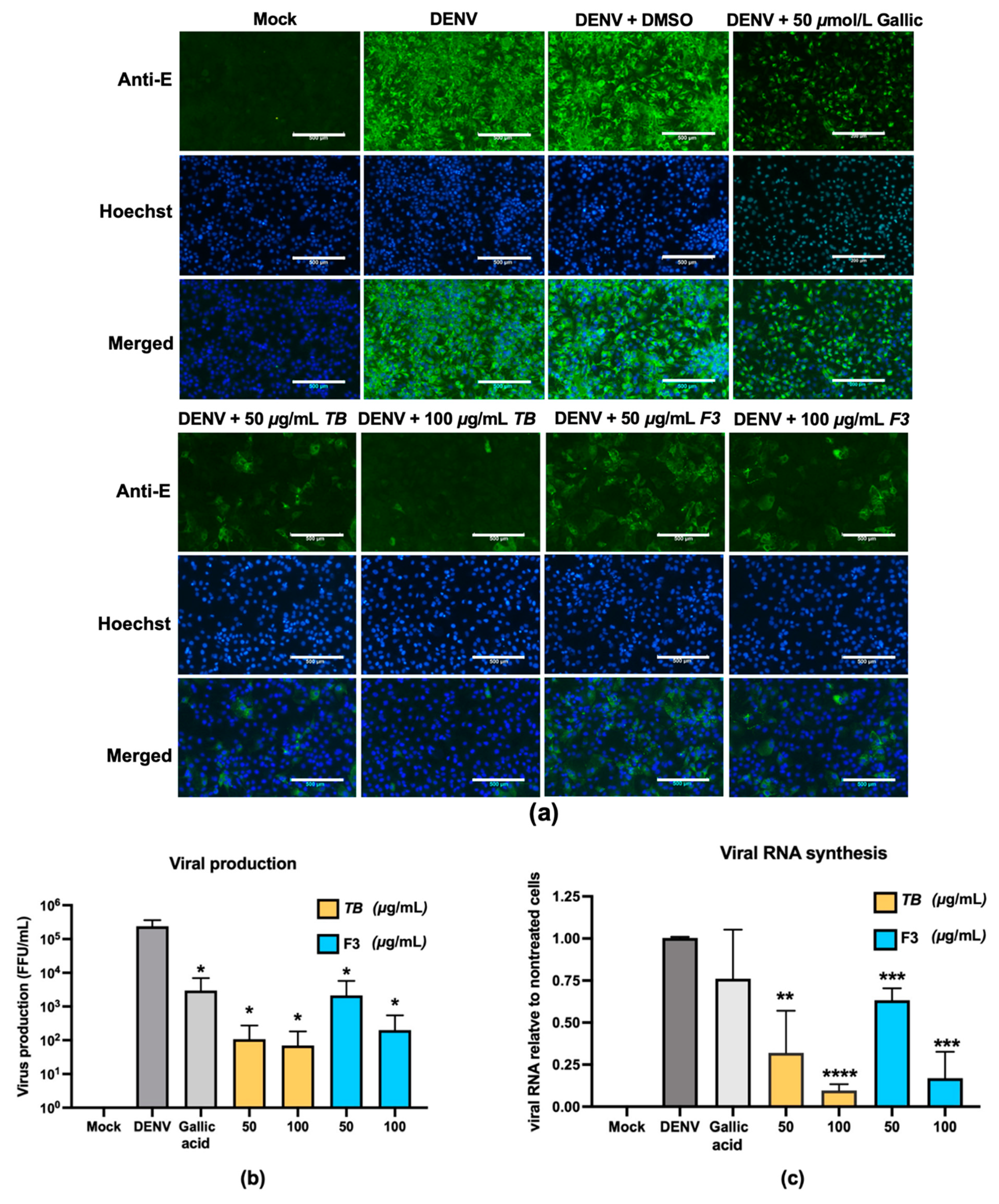 Pharmaceuticals 14 01236 g005