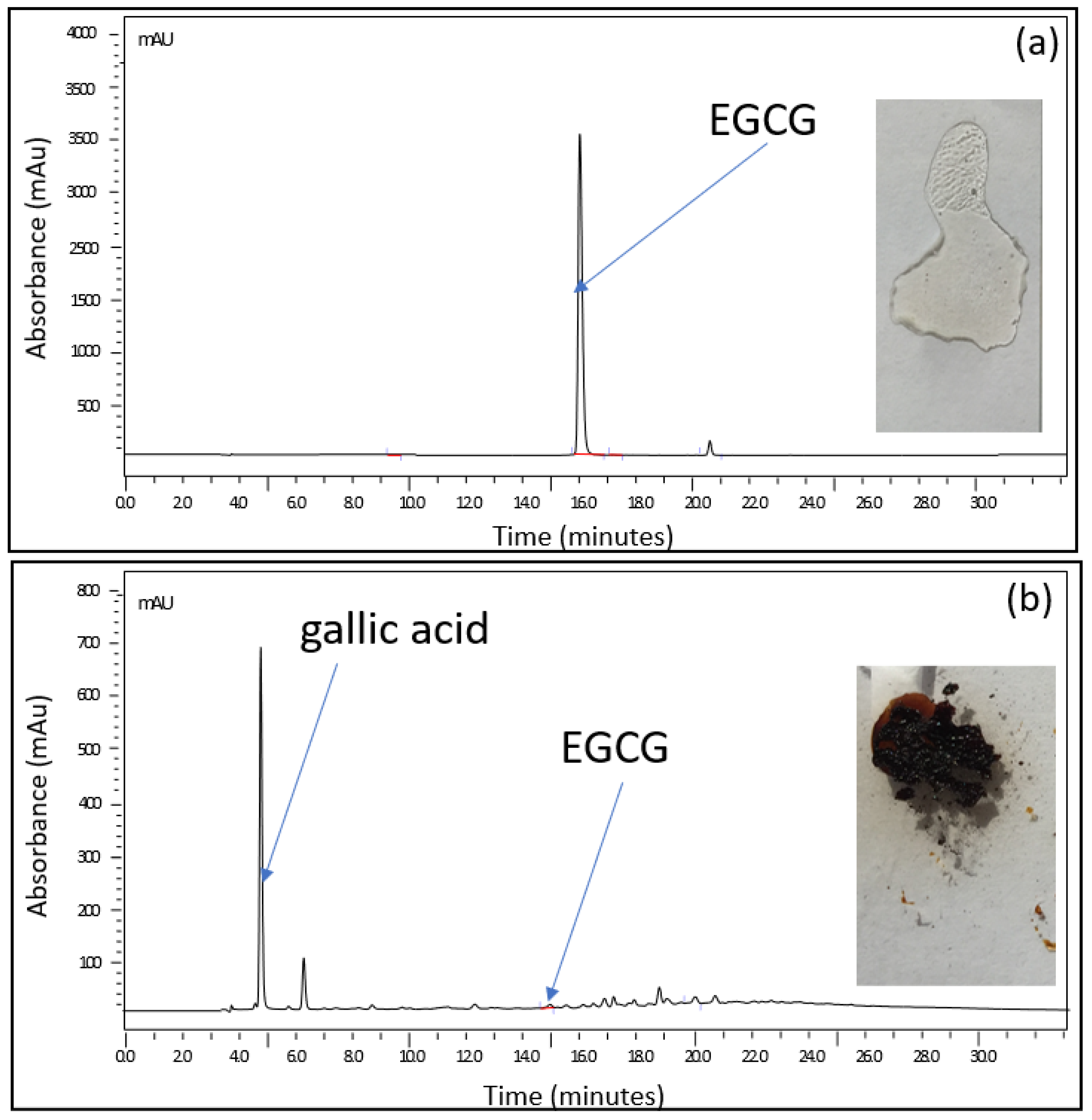 Pharmaceuticals 14 01242 g001 Pharmaceuticals 14 01242 g001