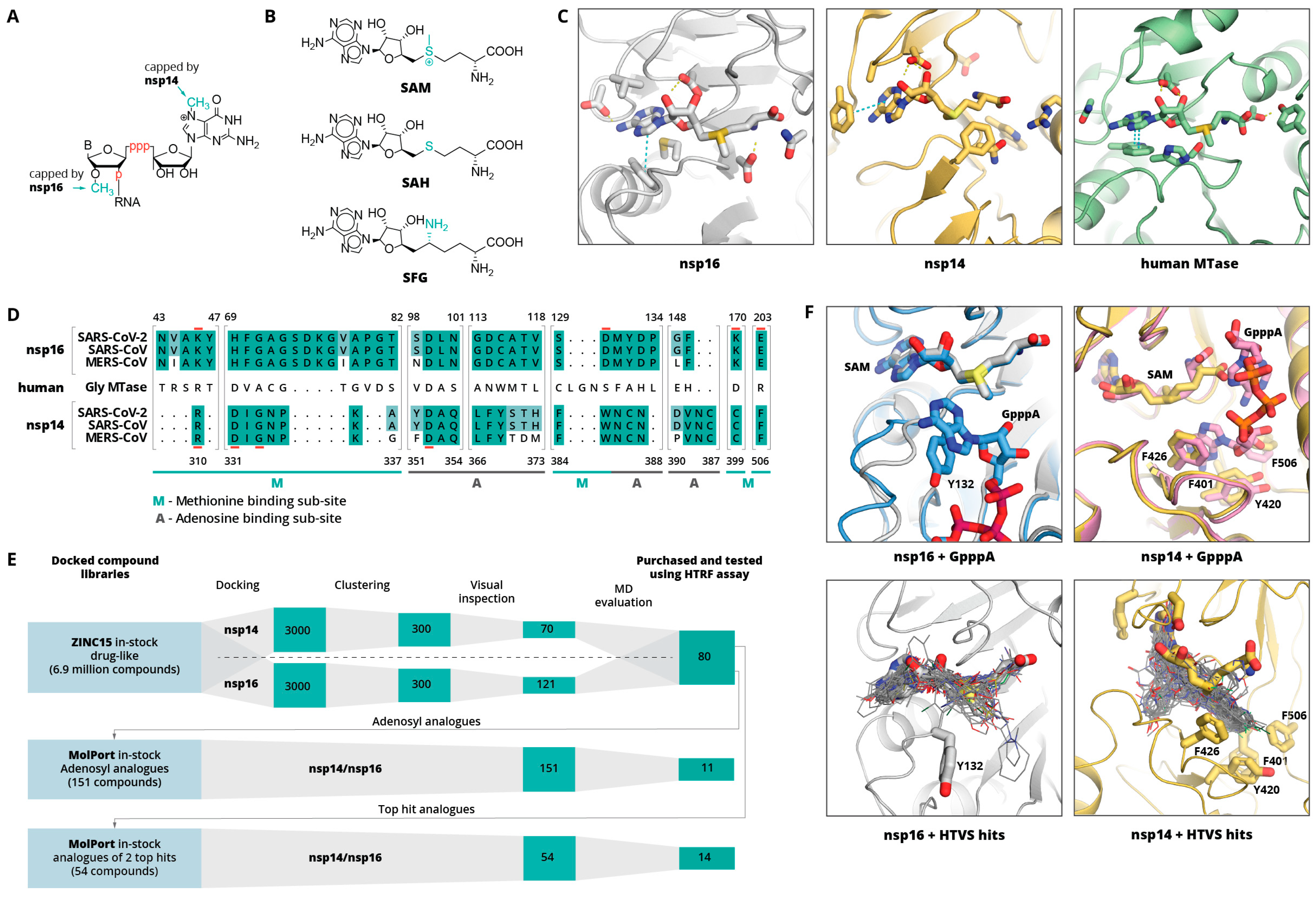 Pharmaceuticals 14 01243 g001 550