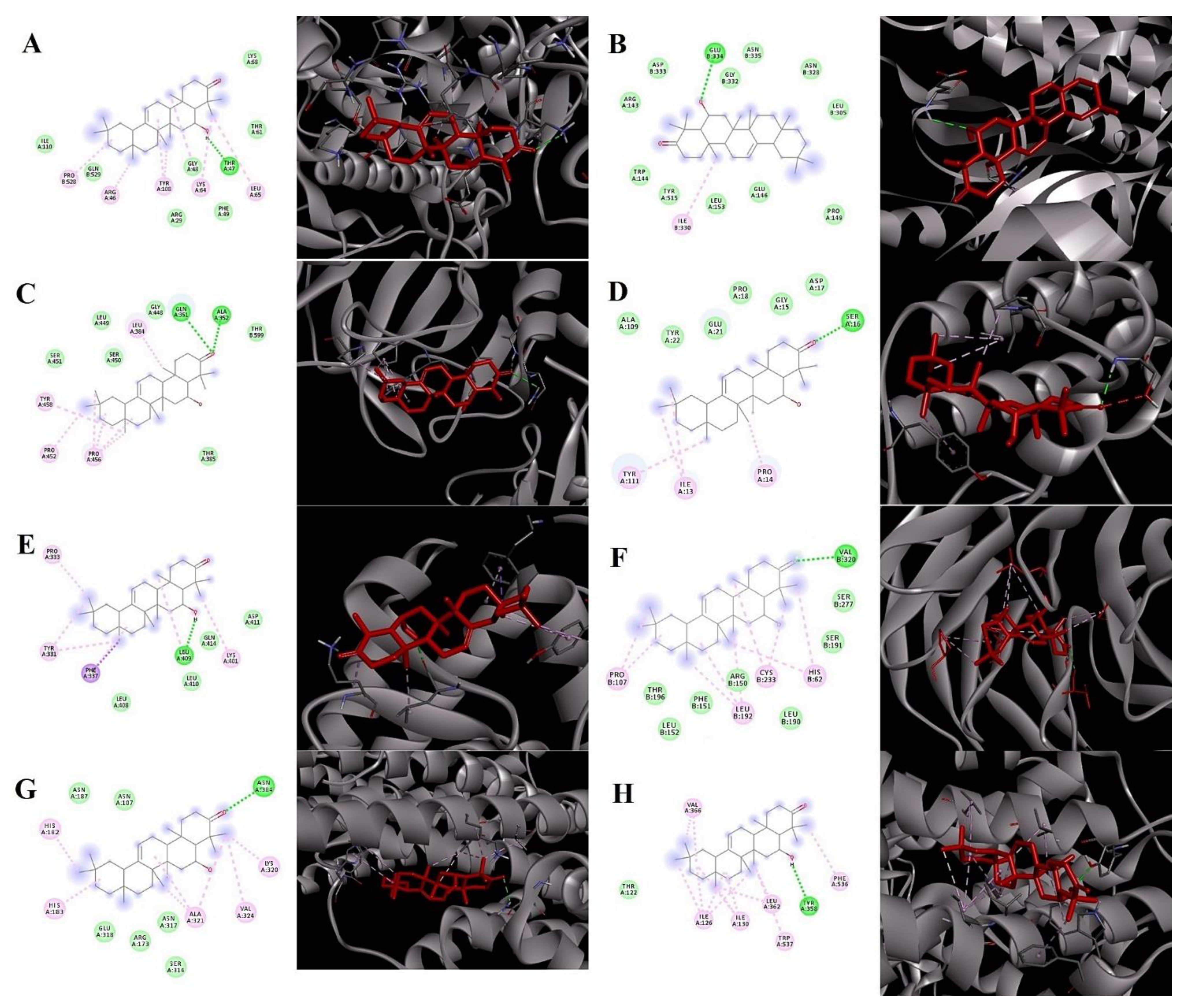 Pharmaceuticals 14 01248 g002