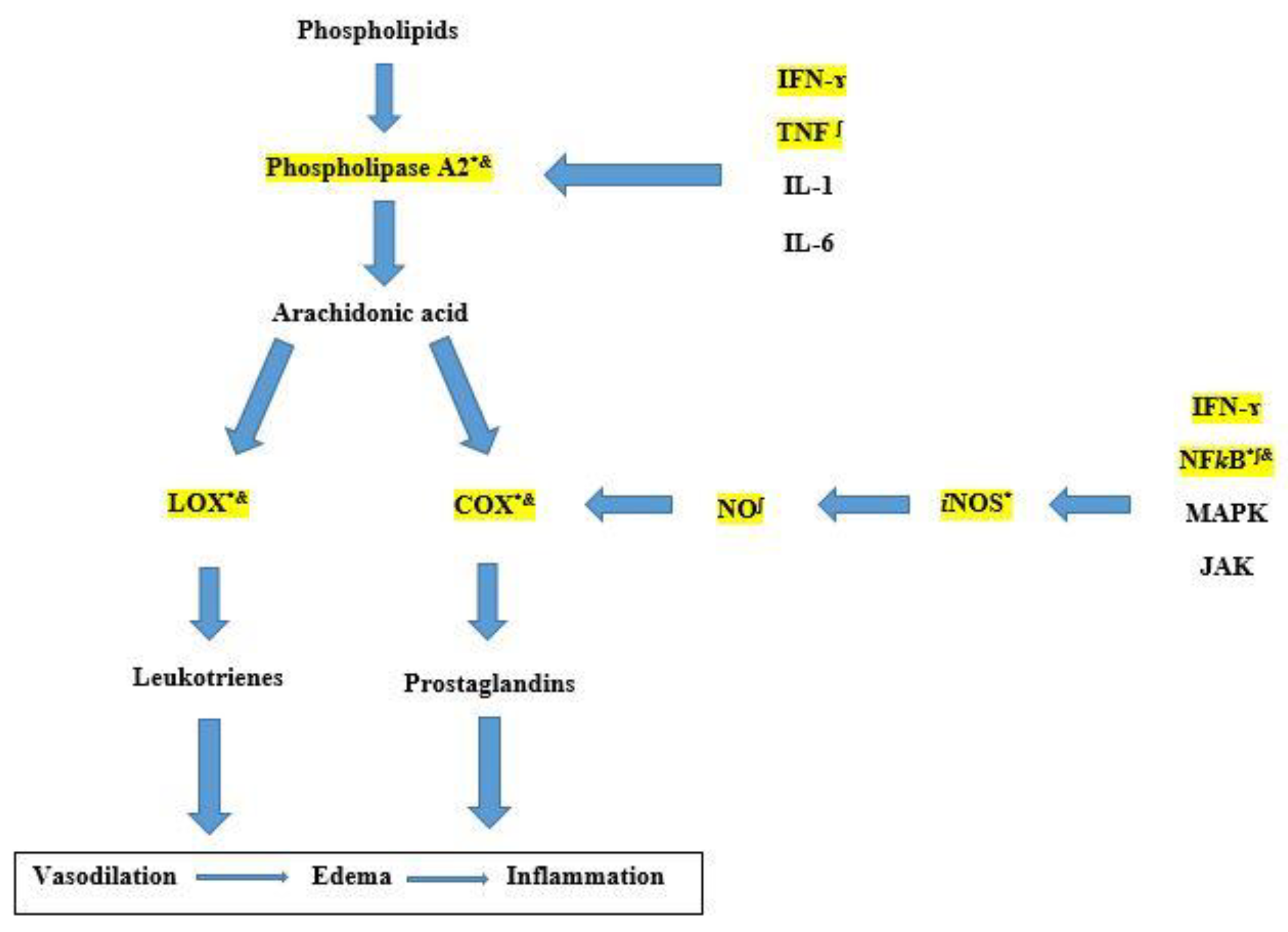 Pharmaceuticals 14 01248 g004