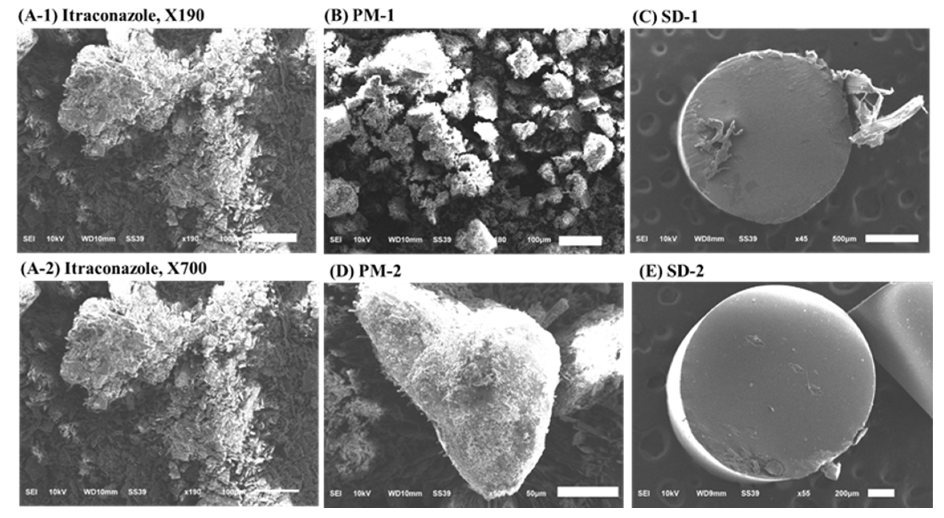 Pharmaceuticals 14 01255 g007 Pharmaceuticals 14 01255 g007