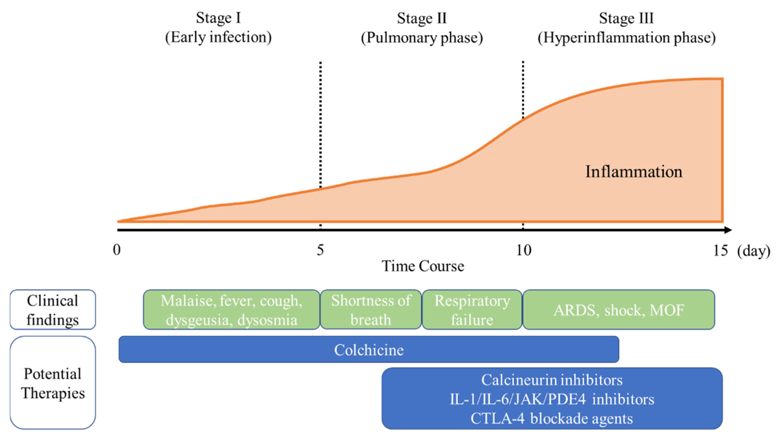 Pharmaceuticals 14 01256 g001
