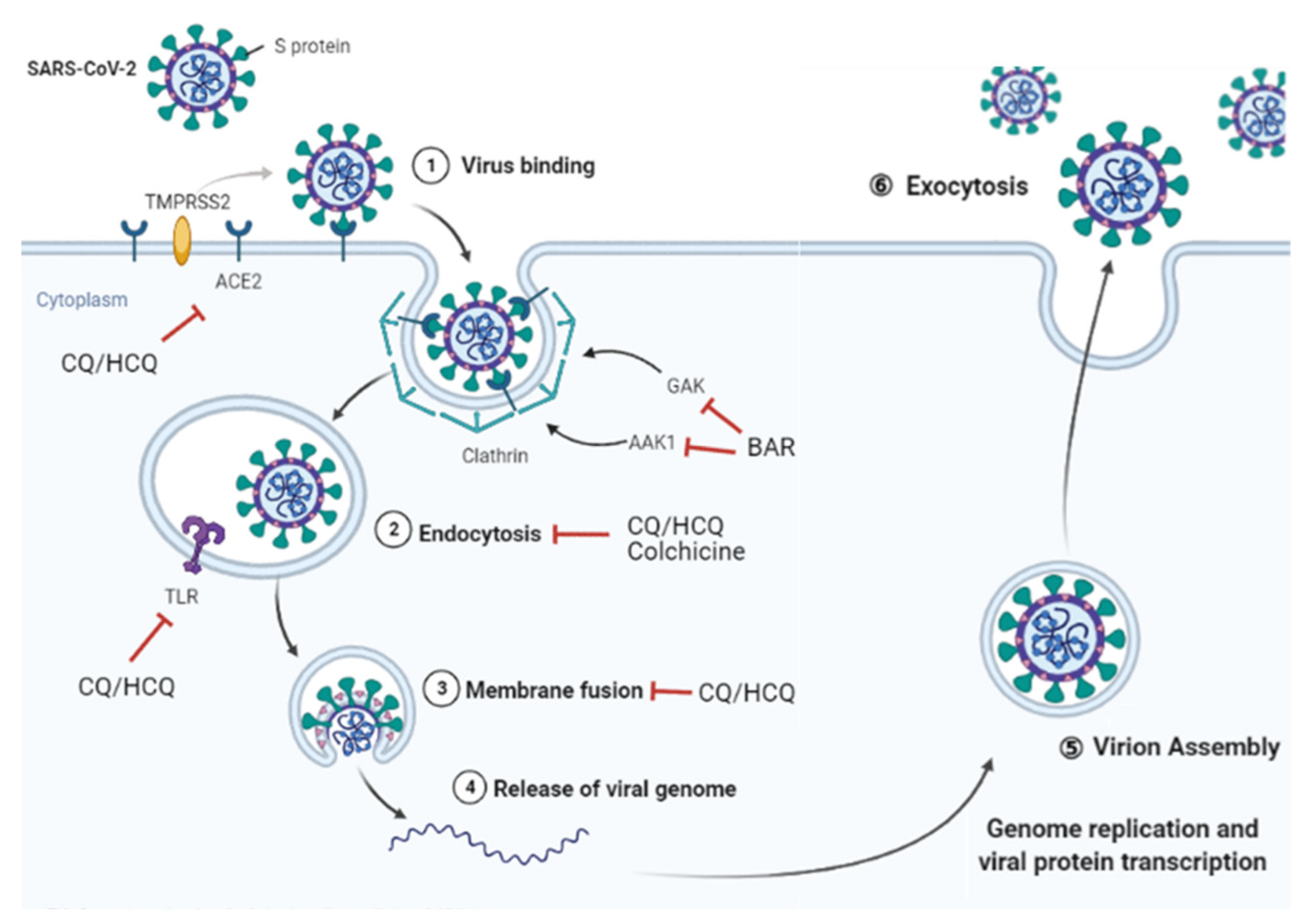 Pharmaceuticals 14 01256 g002