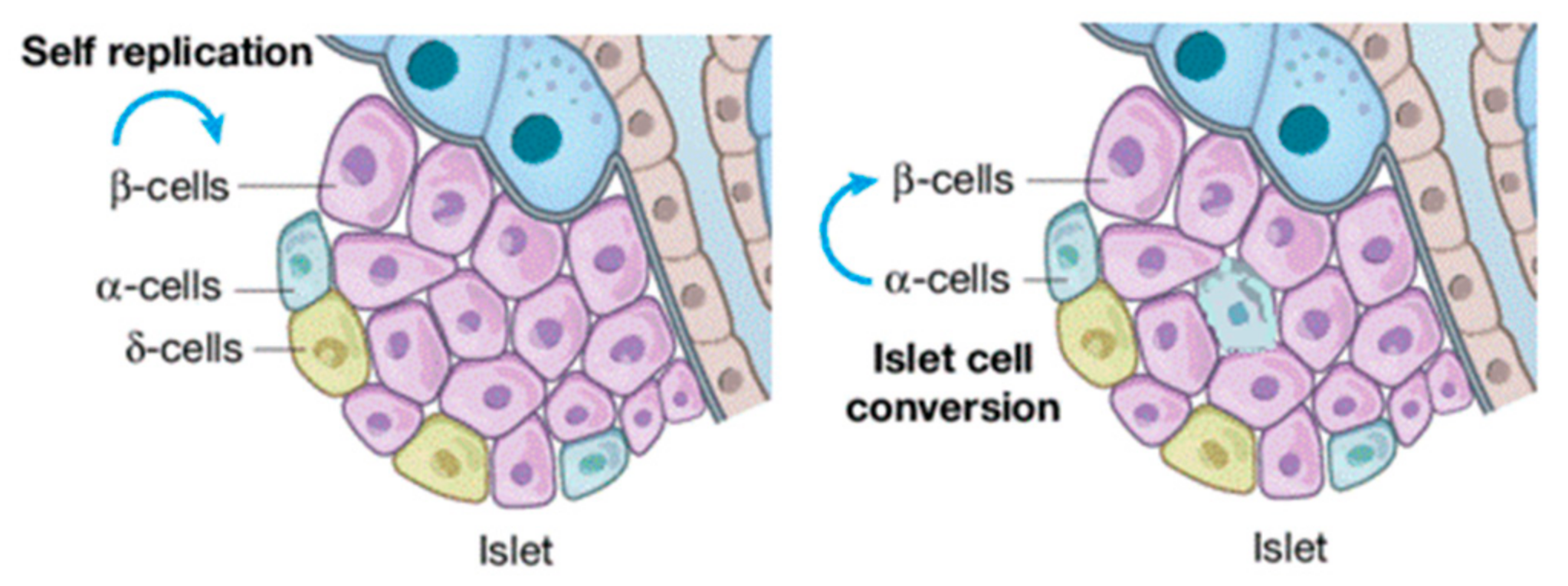 Pharmaceuticals 14 01257 g001