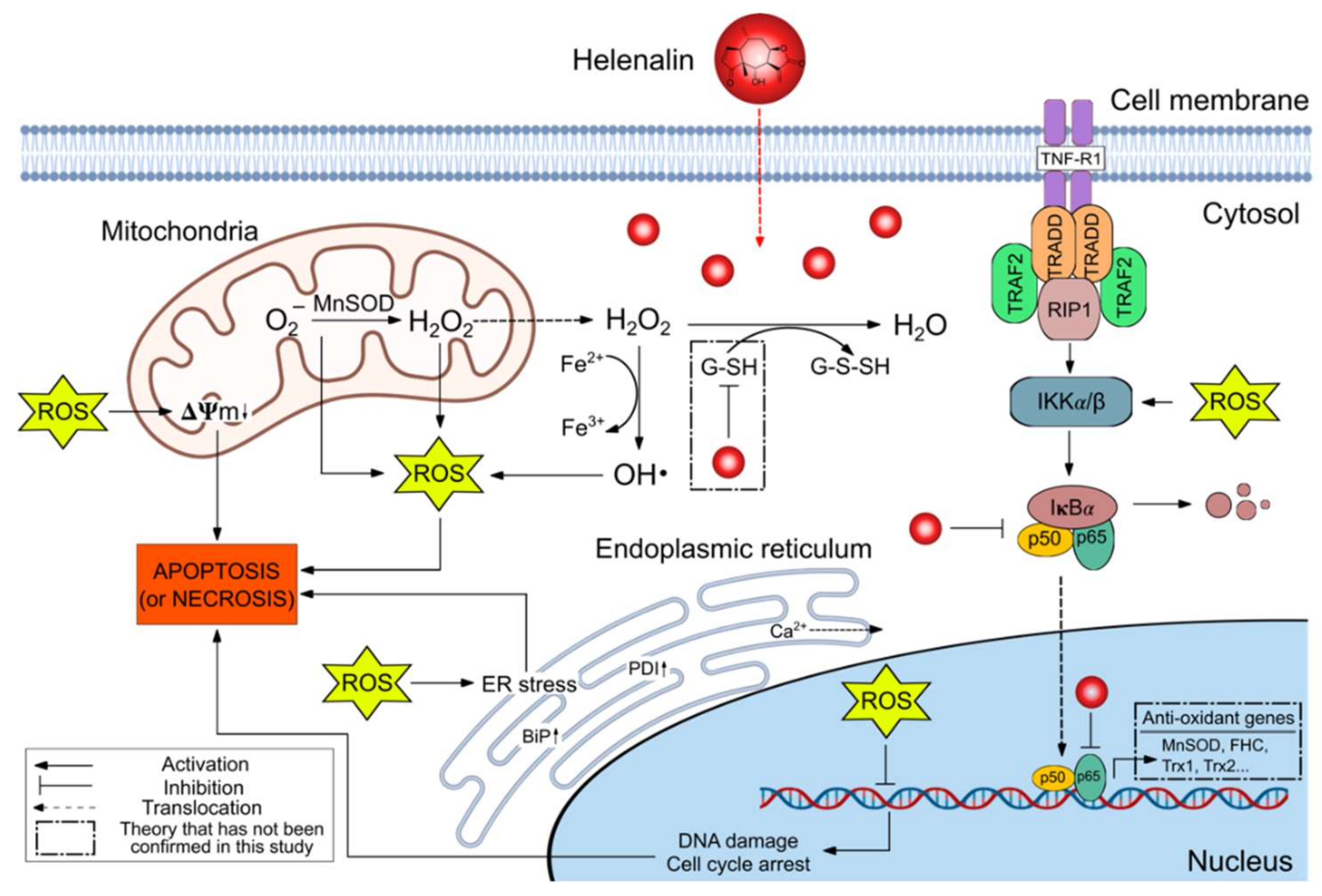 Pharmaceuticals 14 01258 g009