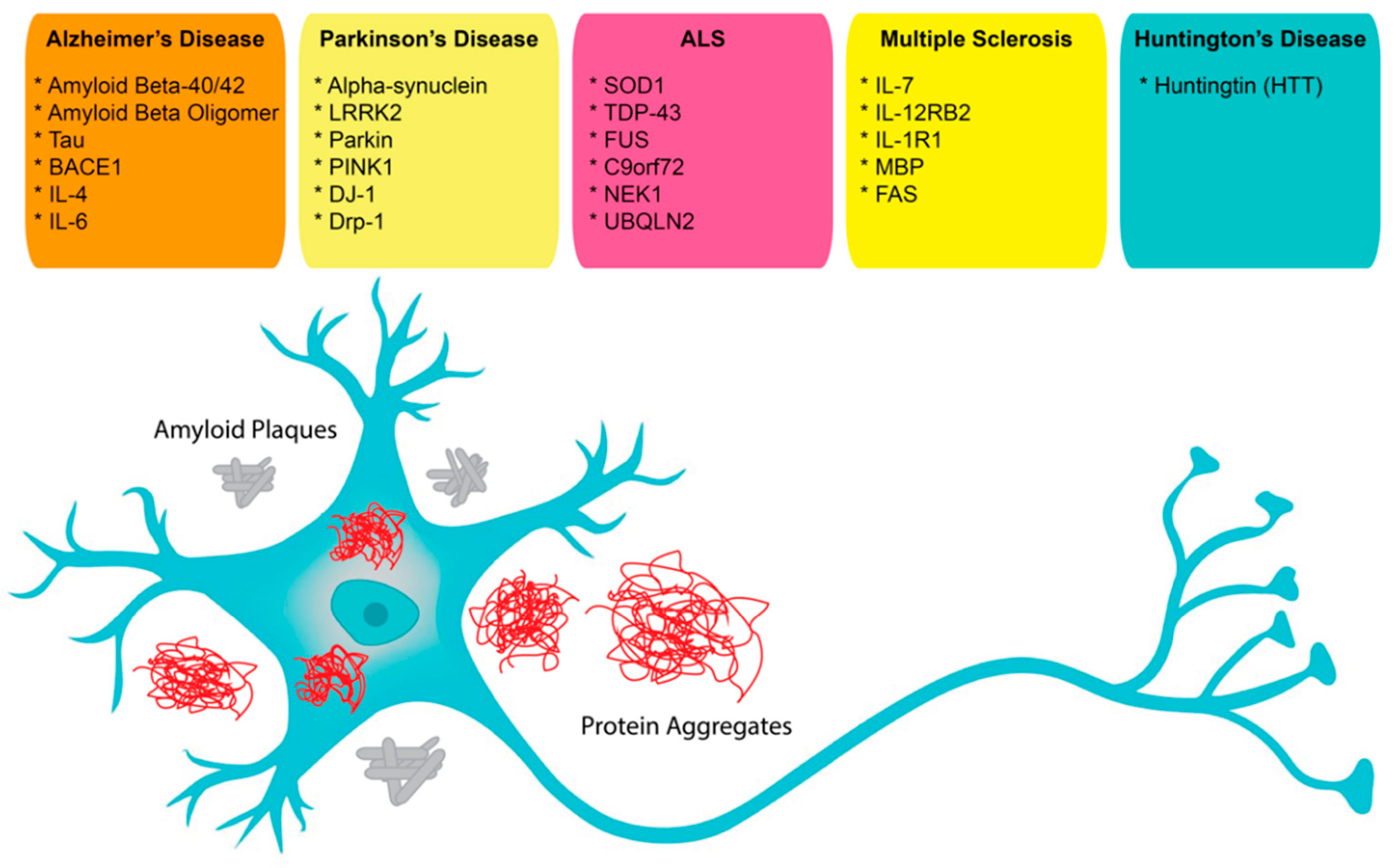 Pharmaceuticals 14 01260 g001