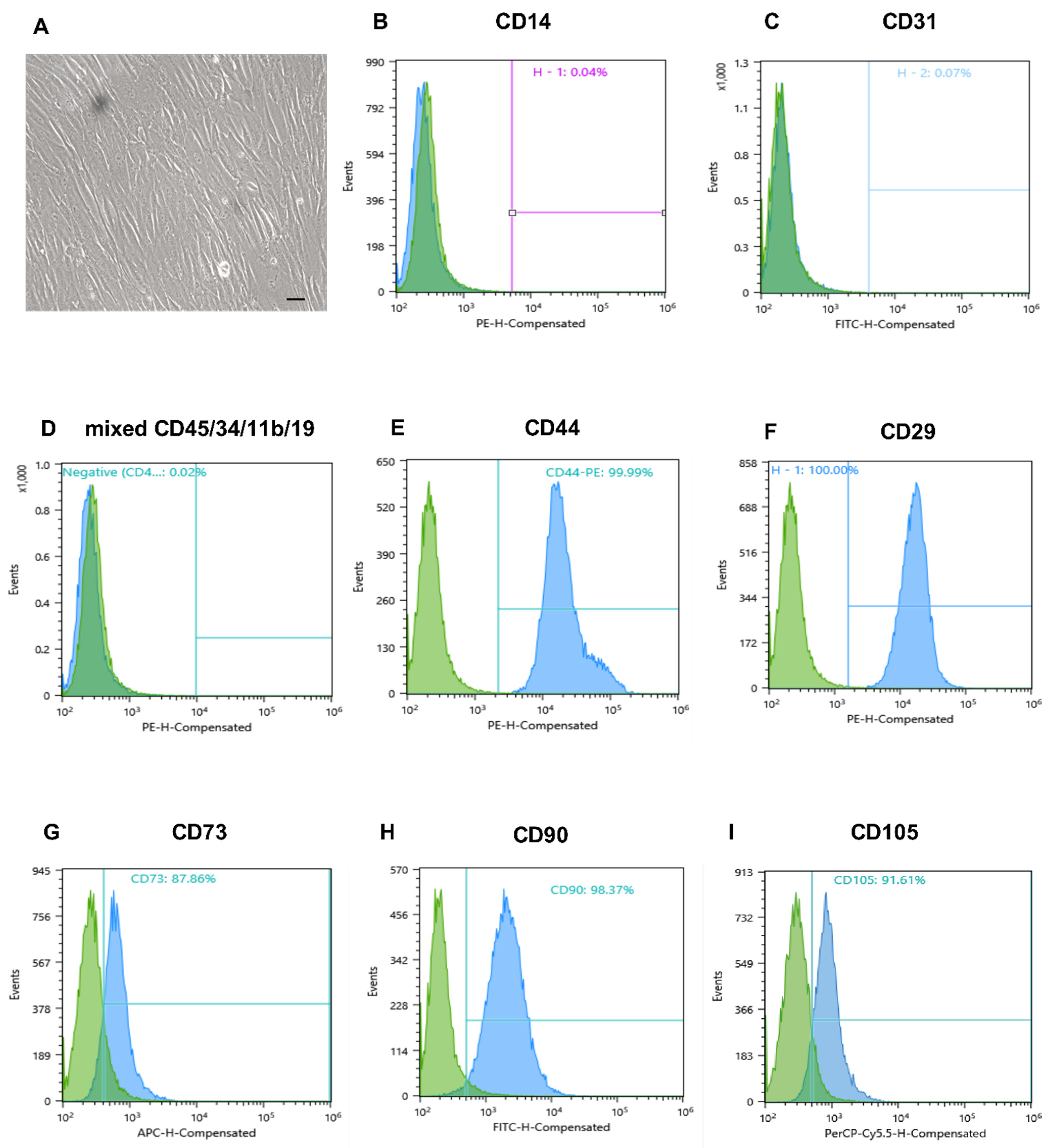 Pharmaceuticals 14 01263 g001