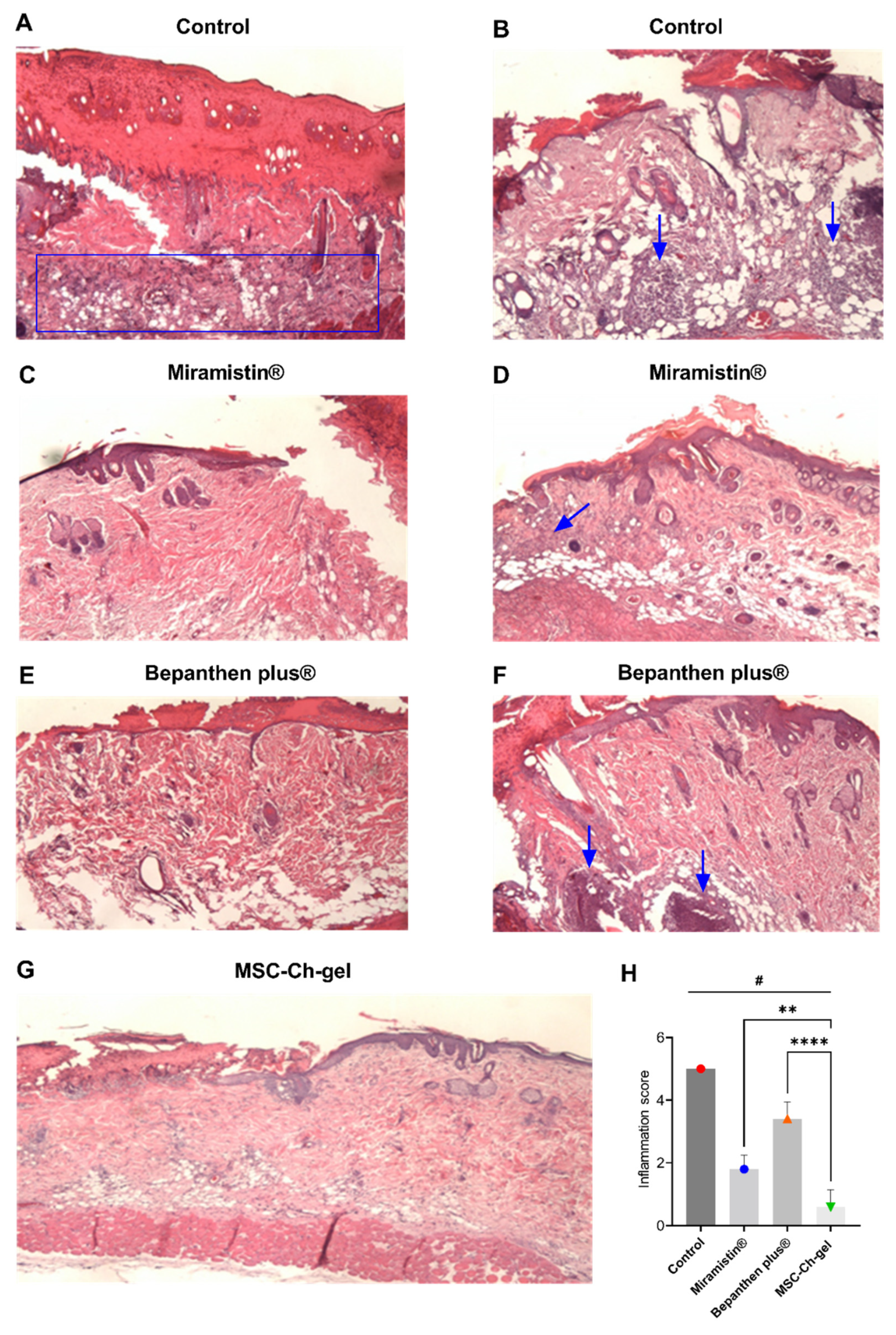Pharmaceuticals 14 01263 g006