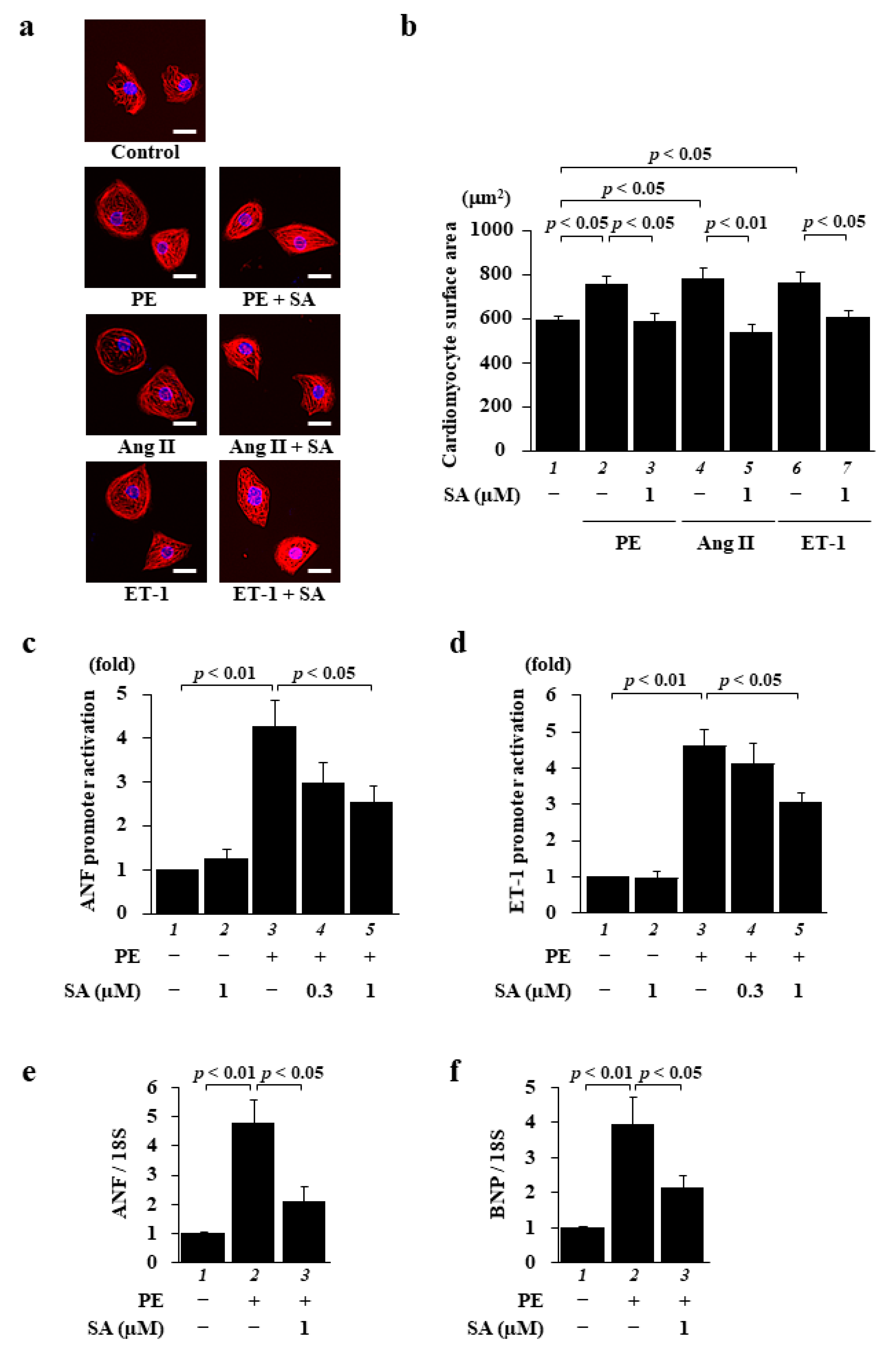 Pharmaceuticals 14 01268 g001 Pharmaceuticals 14 01268 g001